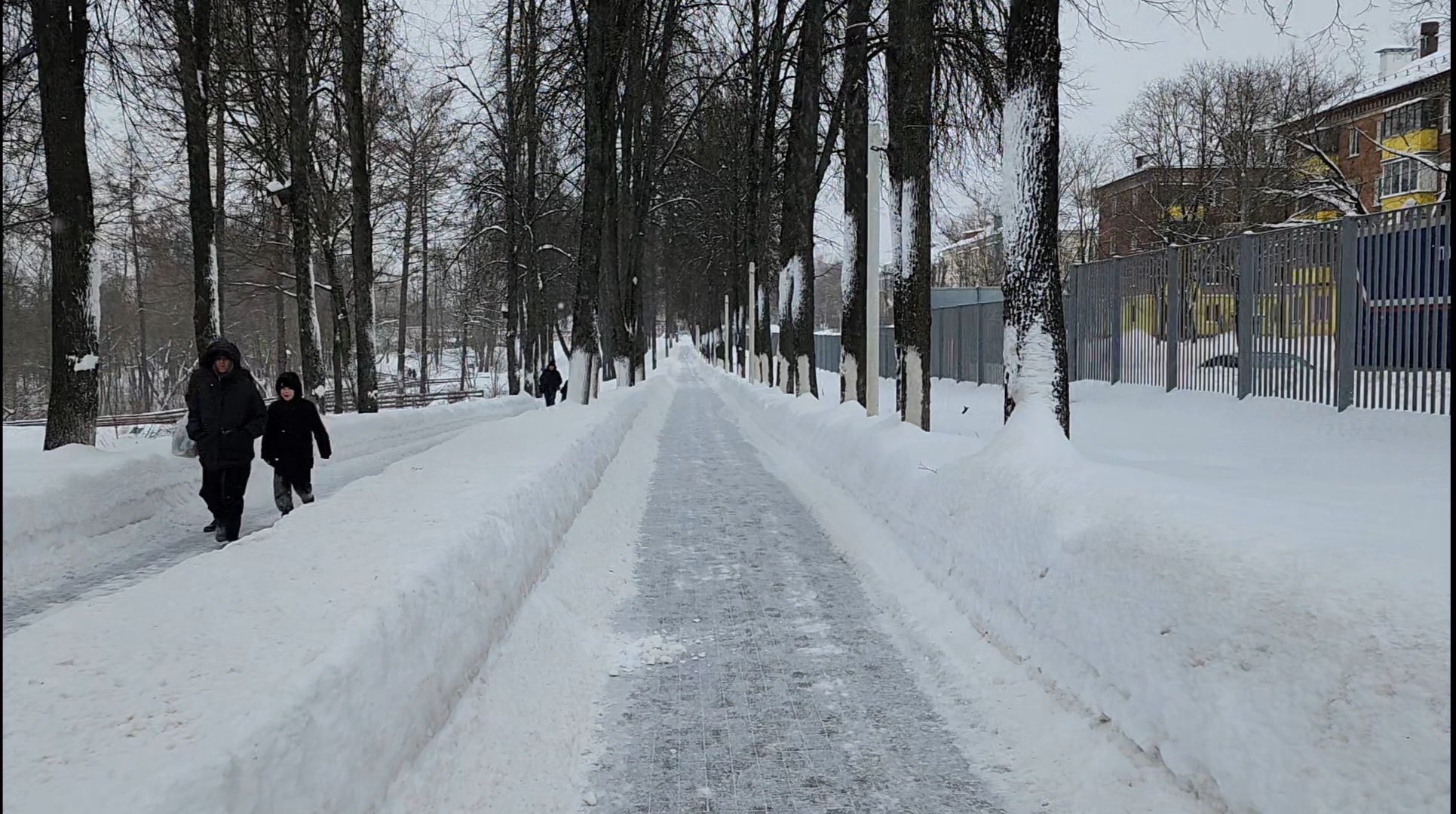 метеоролог, погода,