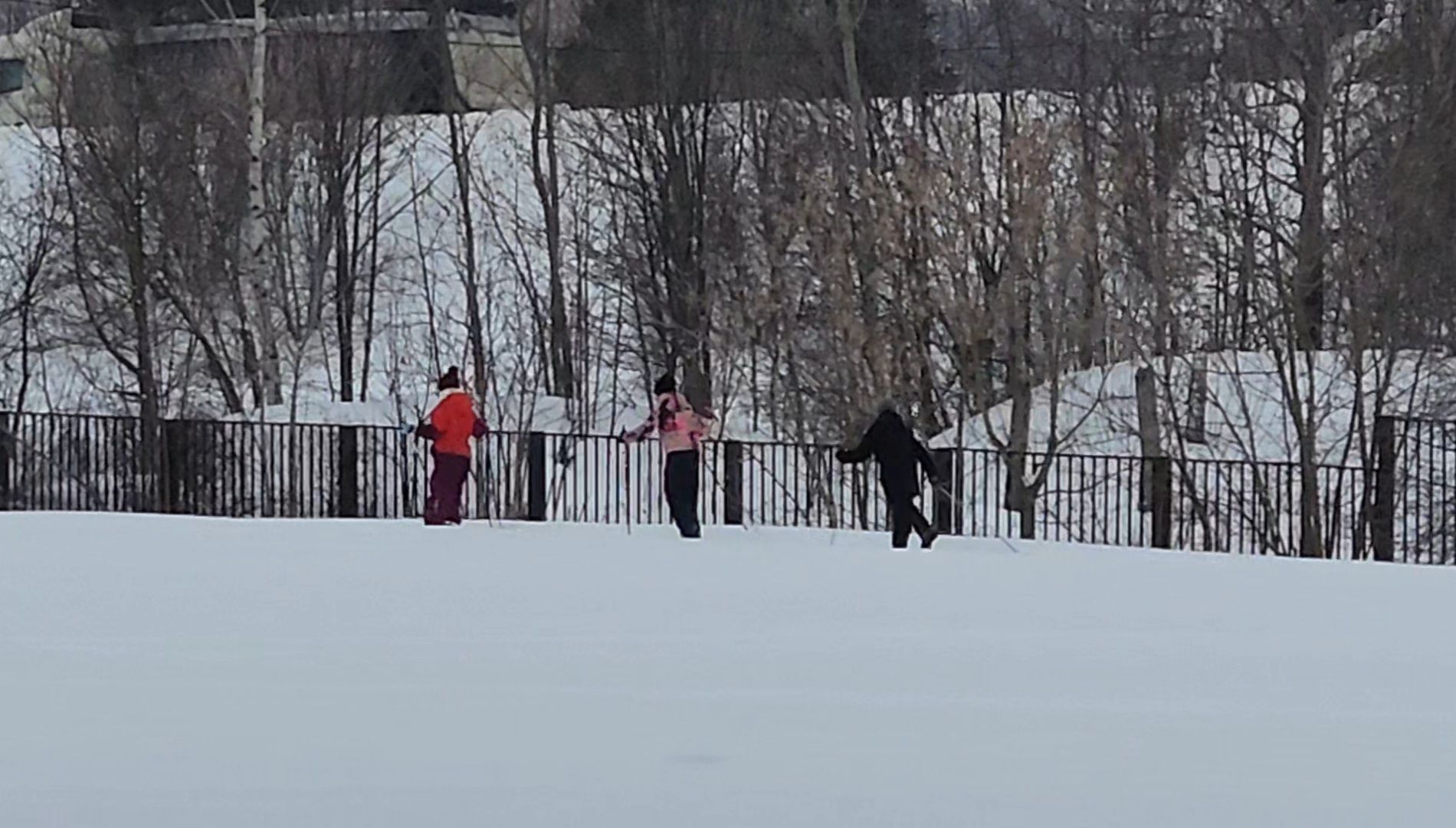 метеоролог, погода,