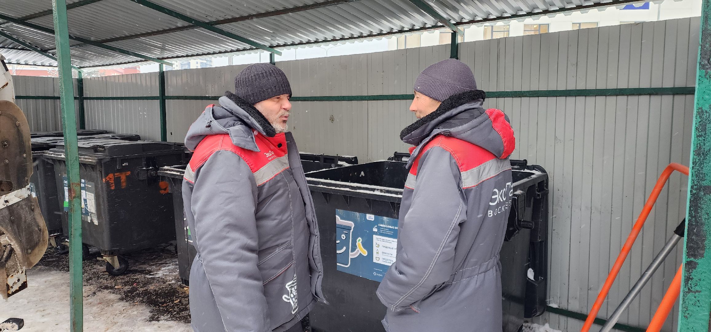 раменское, общество, водители мусоровозов спасли кота,