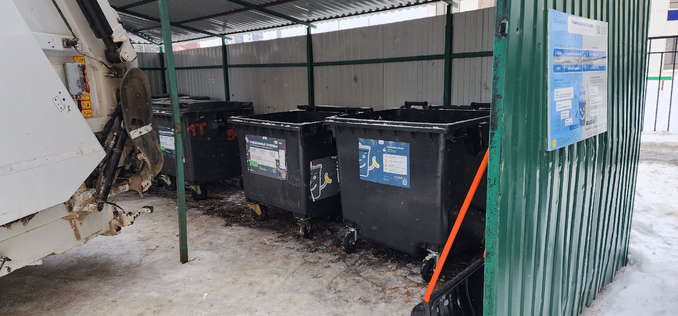 раменское, общество, водители мусоровозов спасли кота,