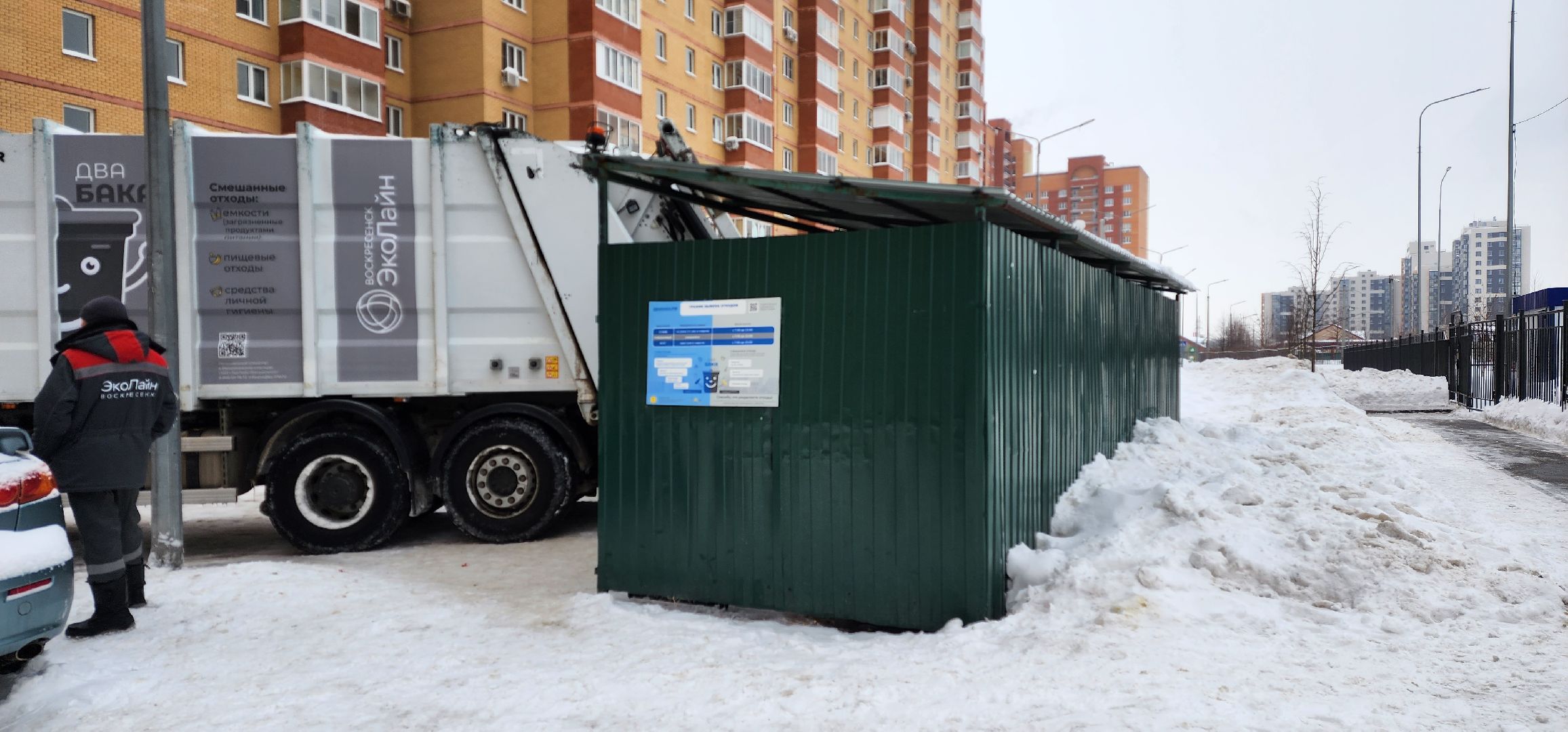 раменское, общество, водители мусоровозов спасли кота,