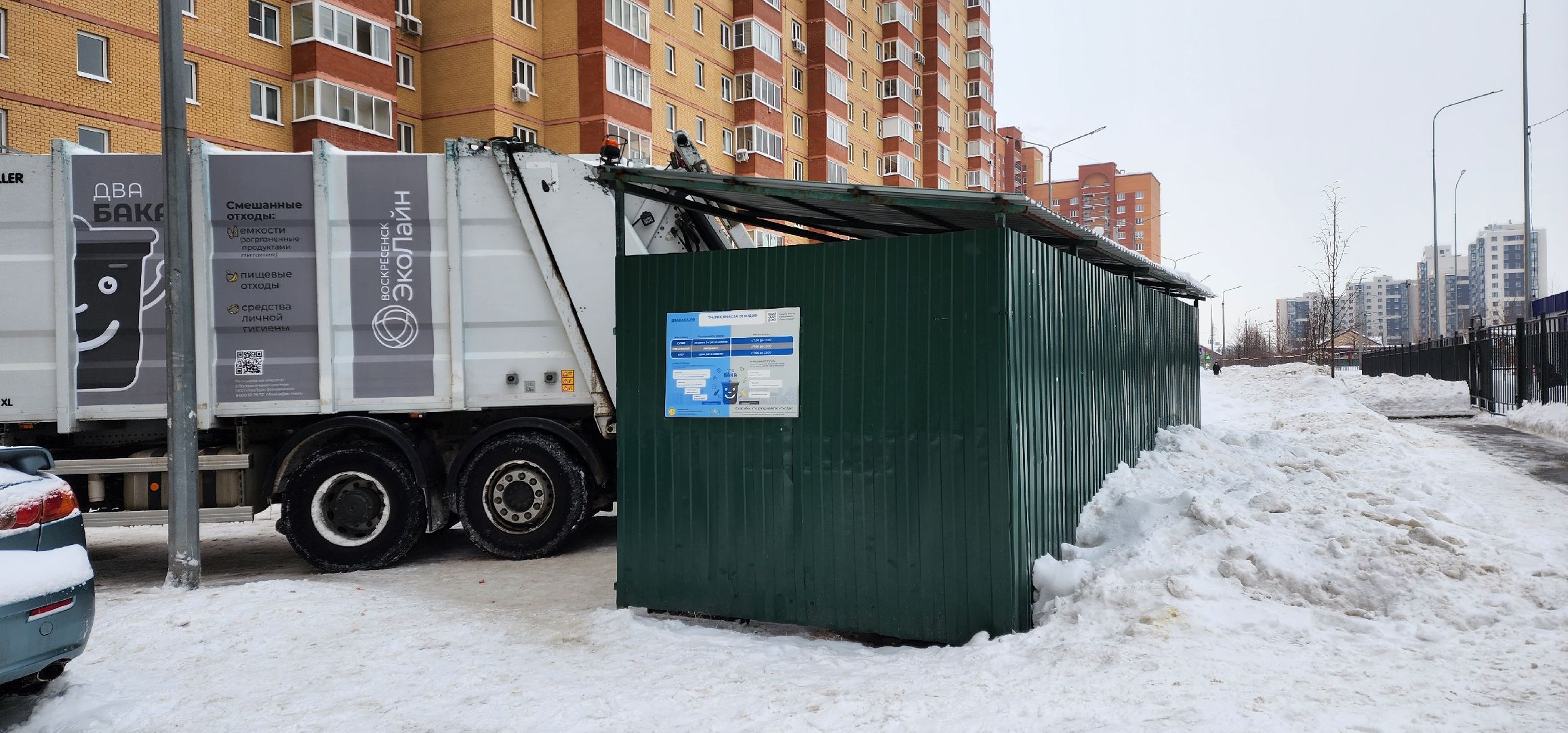раменское, общество, водители мусоровозов спасли кота,