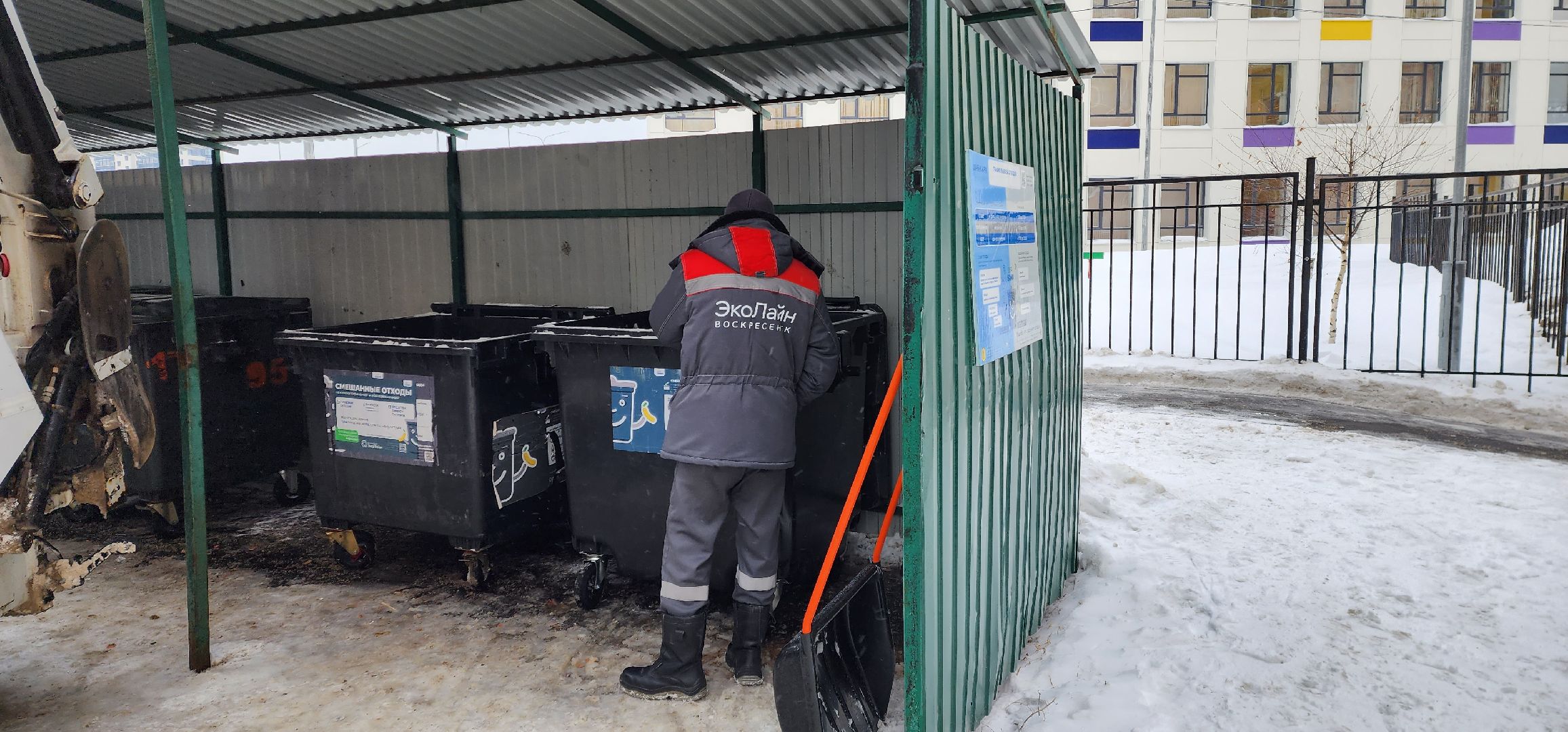 раменское, общество, водители мусоровозов спасли кота,
