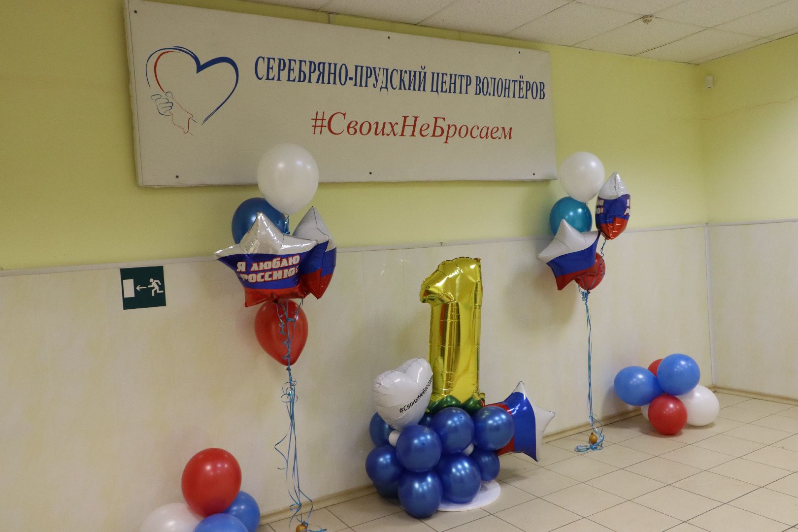 волонтеры, волонтерский центр, Серебряные Пруды, Узуново, СвоихНеБросаем,