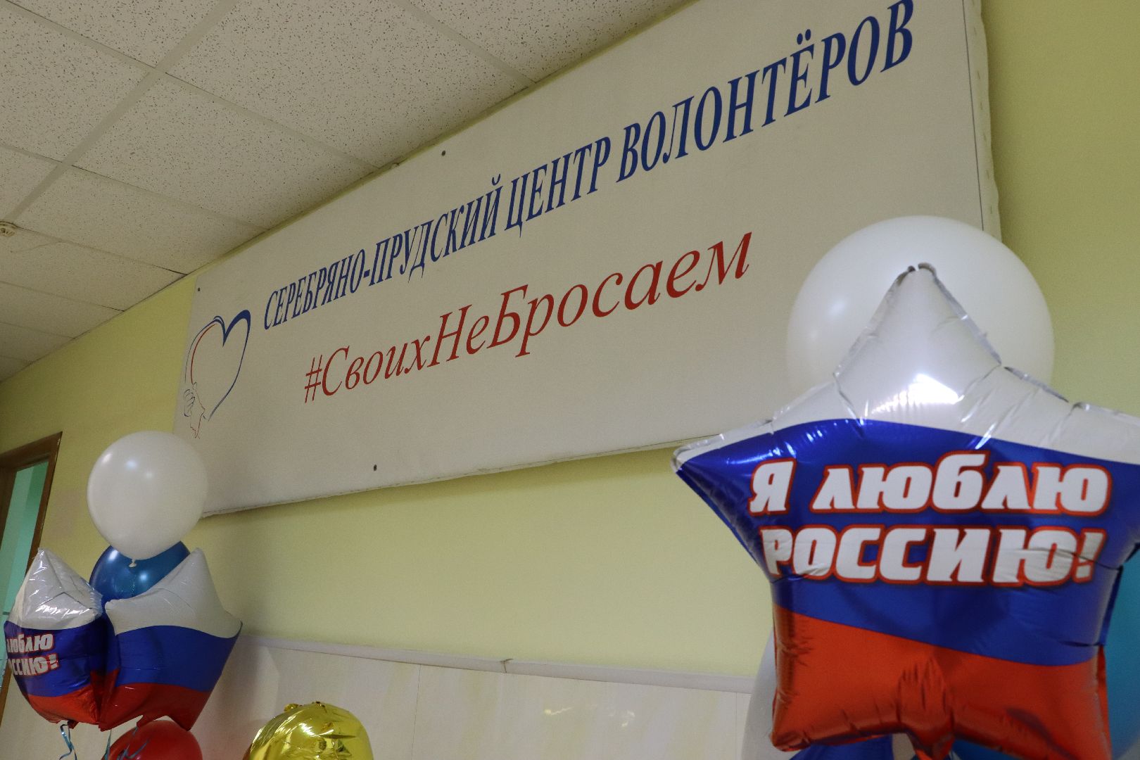 волонтеры, волонтерский центр, Серебряные Пруды, Узуново, СвоихНеБросаем,