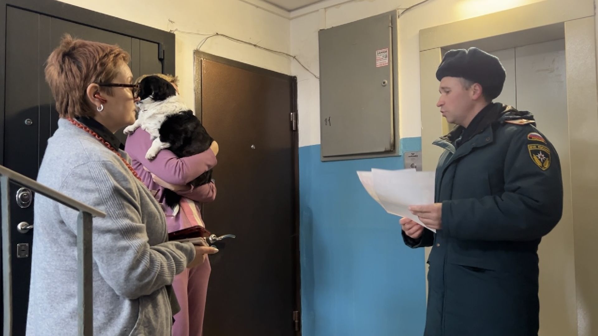 химки, пожнадзор, правила поведения, общество,