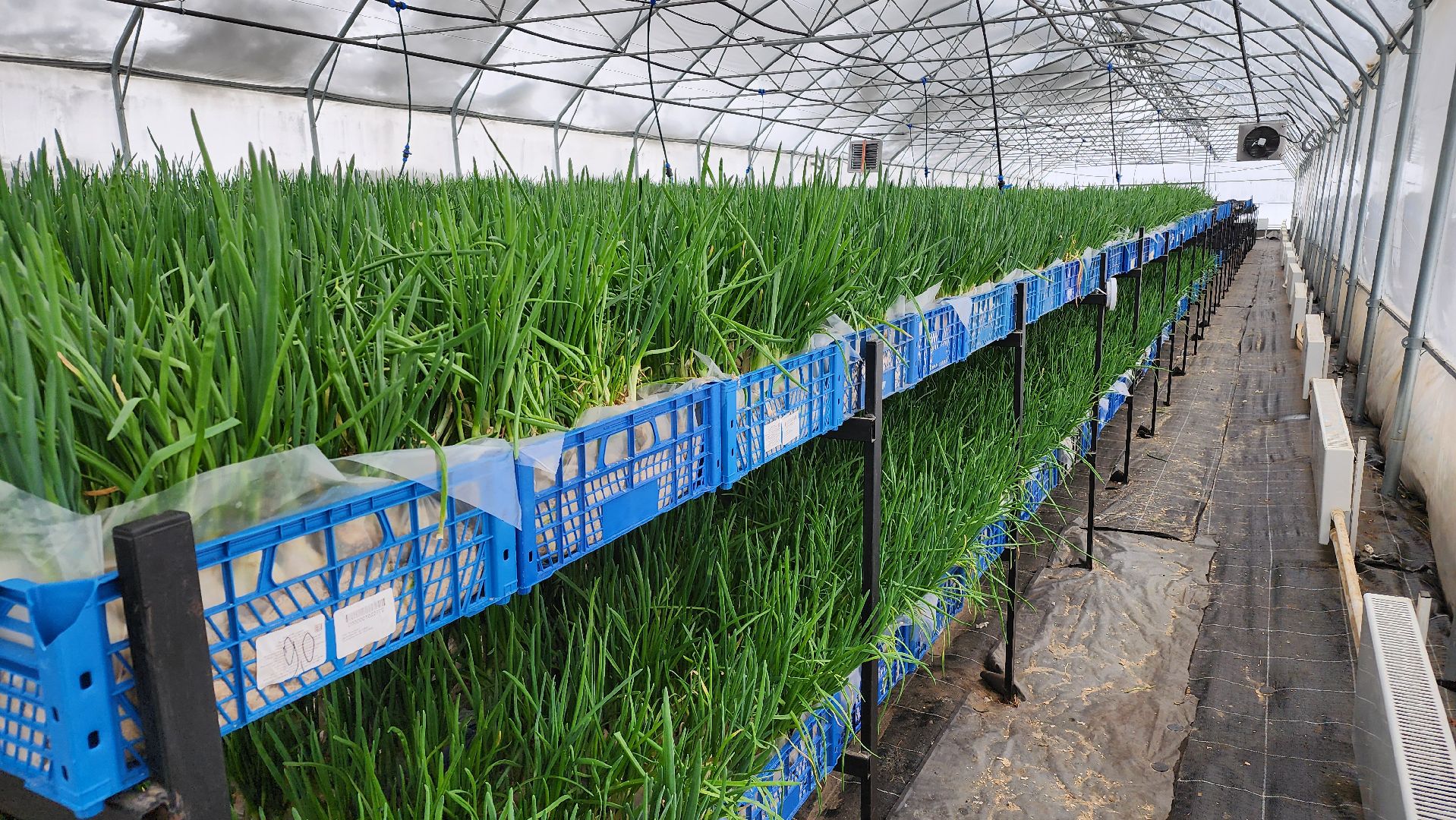 Егорьевск, Подмосковье, Московская область, Великий край,