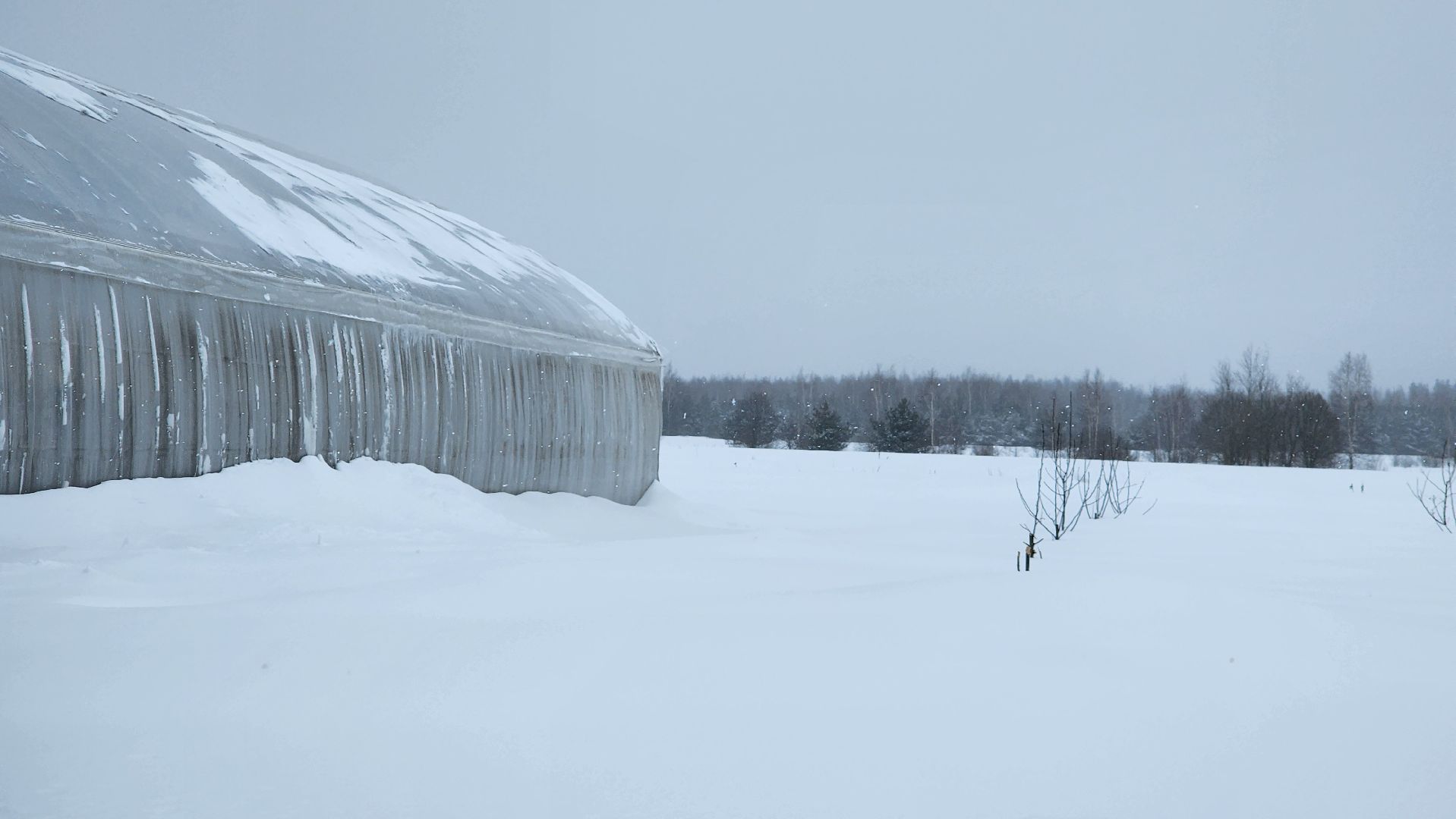 Егорьевск, Подмосковье, Московская область, Великий край,