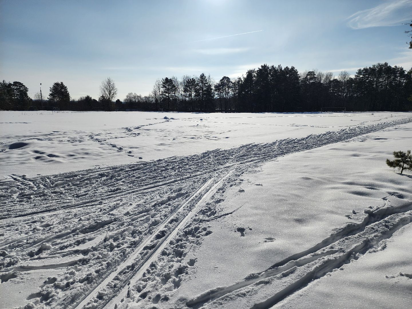 стадион спартак, лыжня, белки, спорт, серпухов,