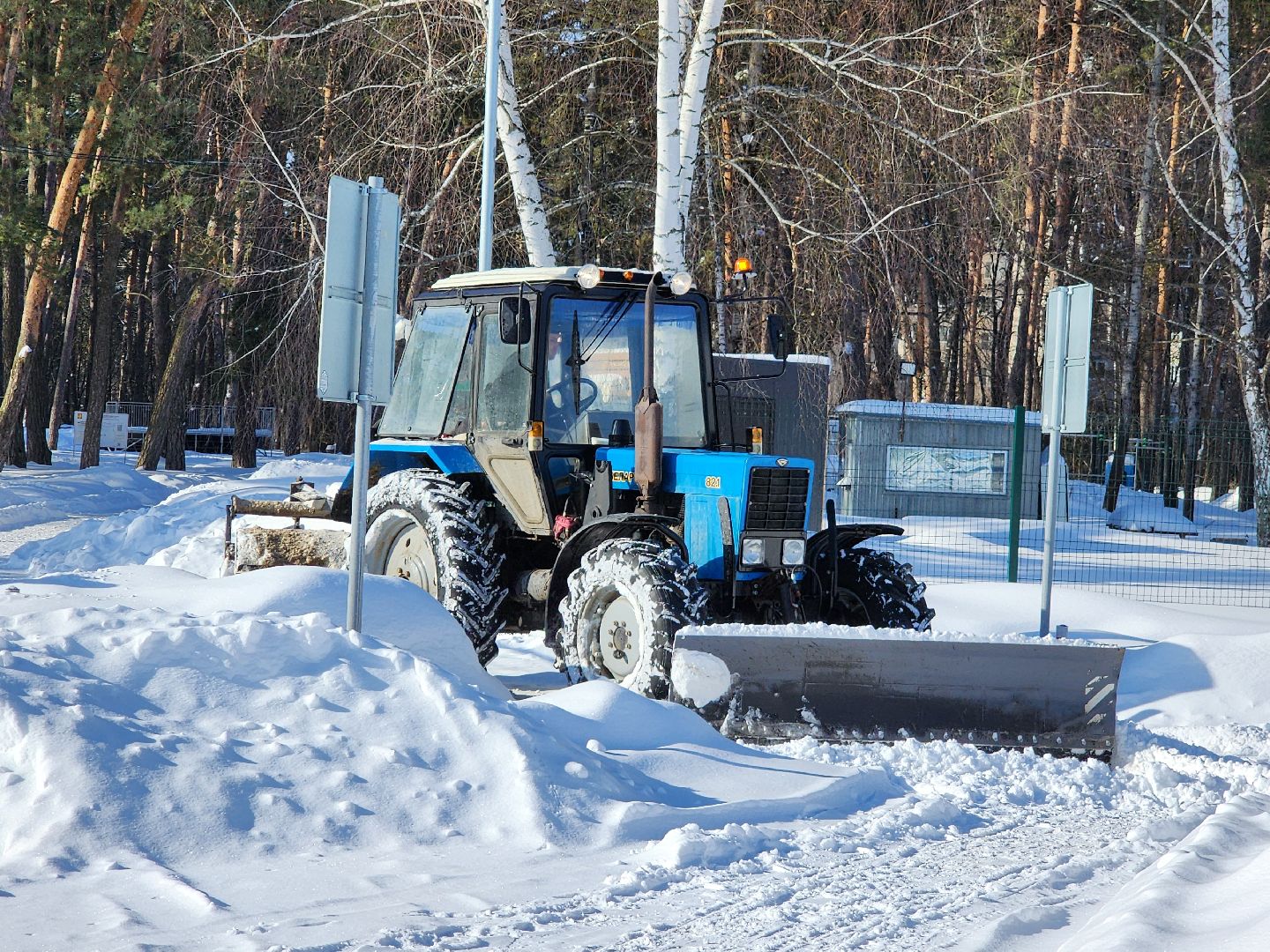 стадион спартак, лыжня, белки, спорт, серпухов,