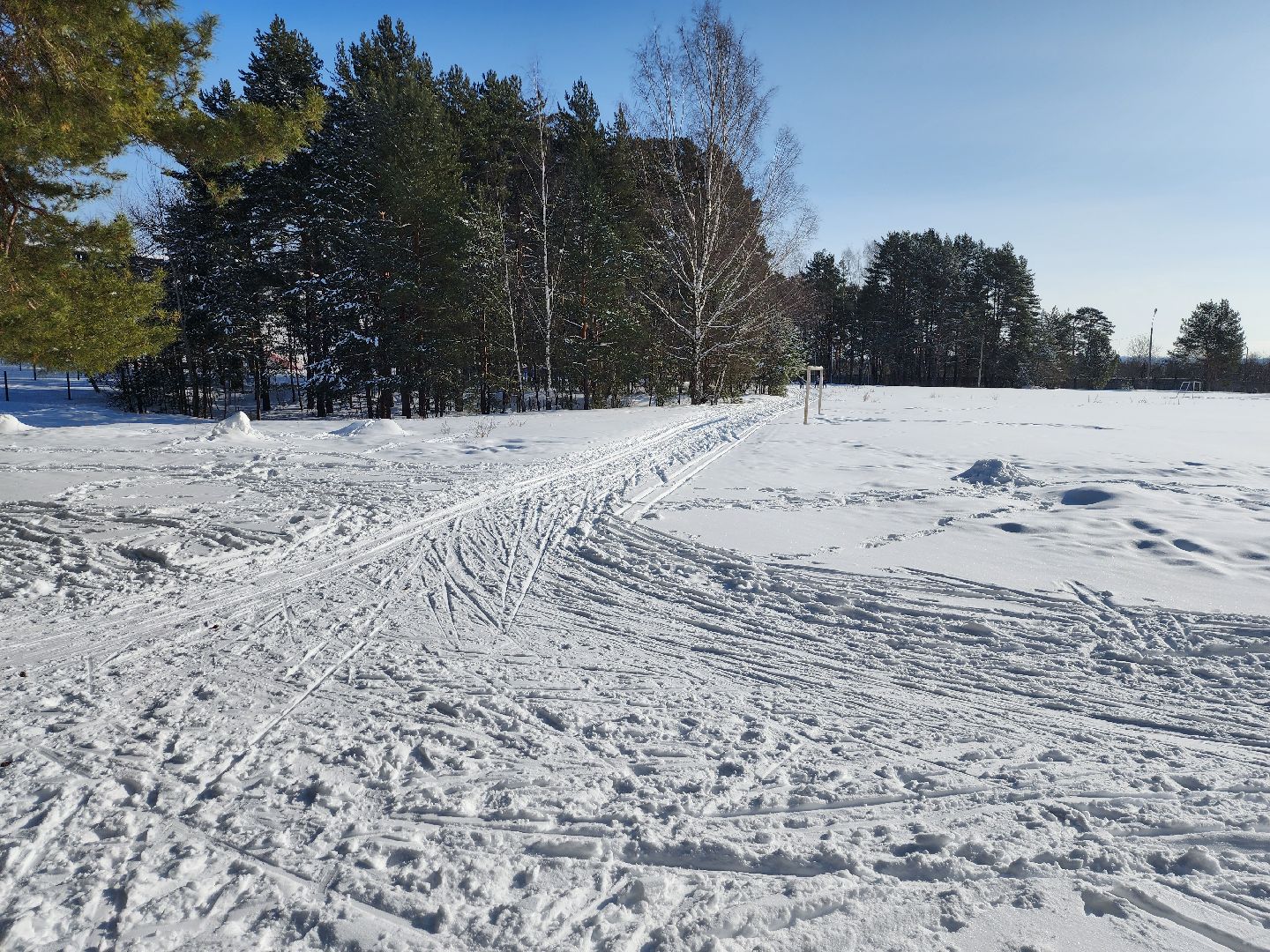 стадион спартак, лыжня, белки, спорт, серпухов,