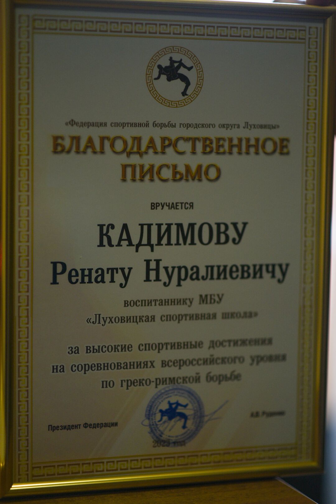 Луховицы, спорт