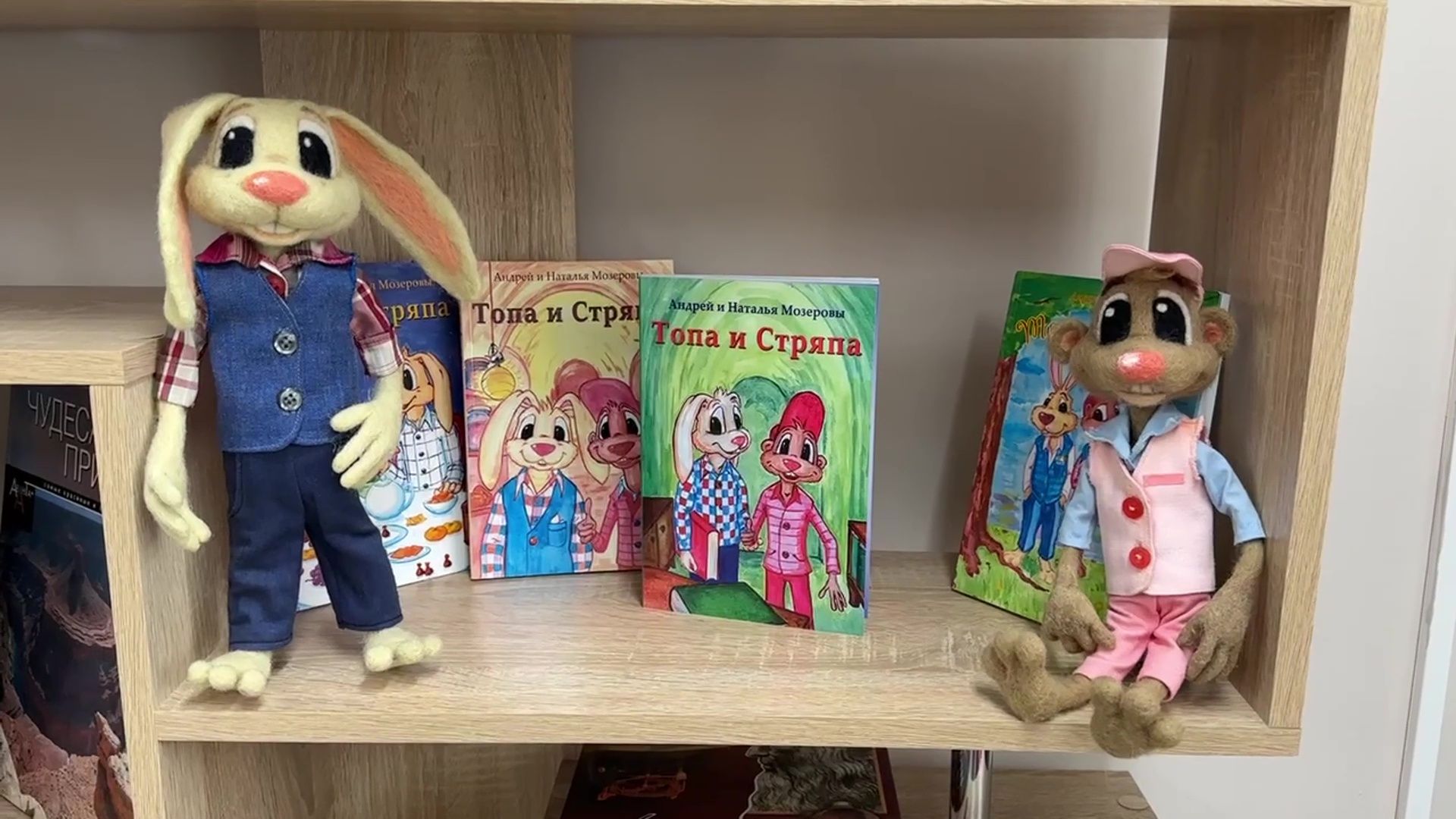 Реутов, библотека, книга, премьера, презентация, Топа и Стряпа,