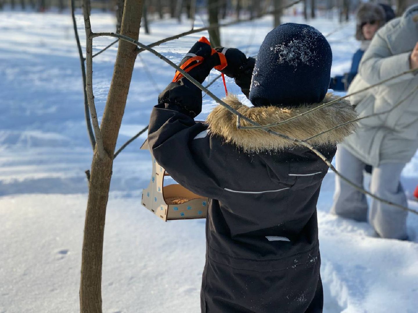 Реутов, парк, птички, кормушки,