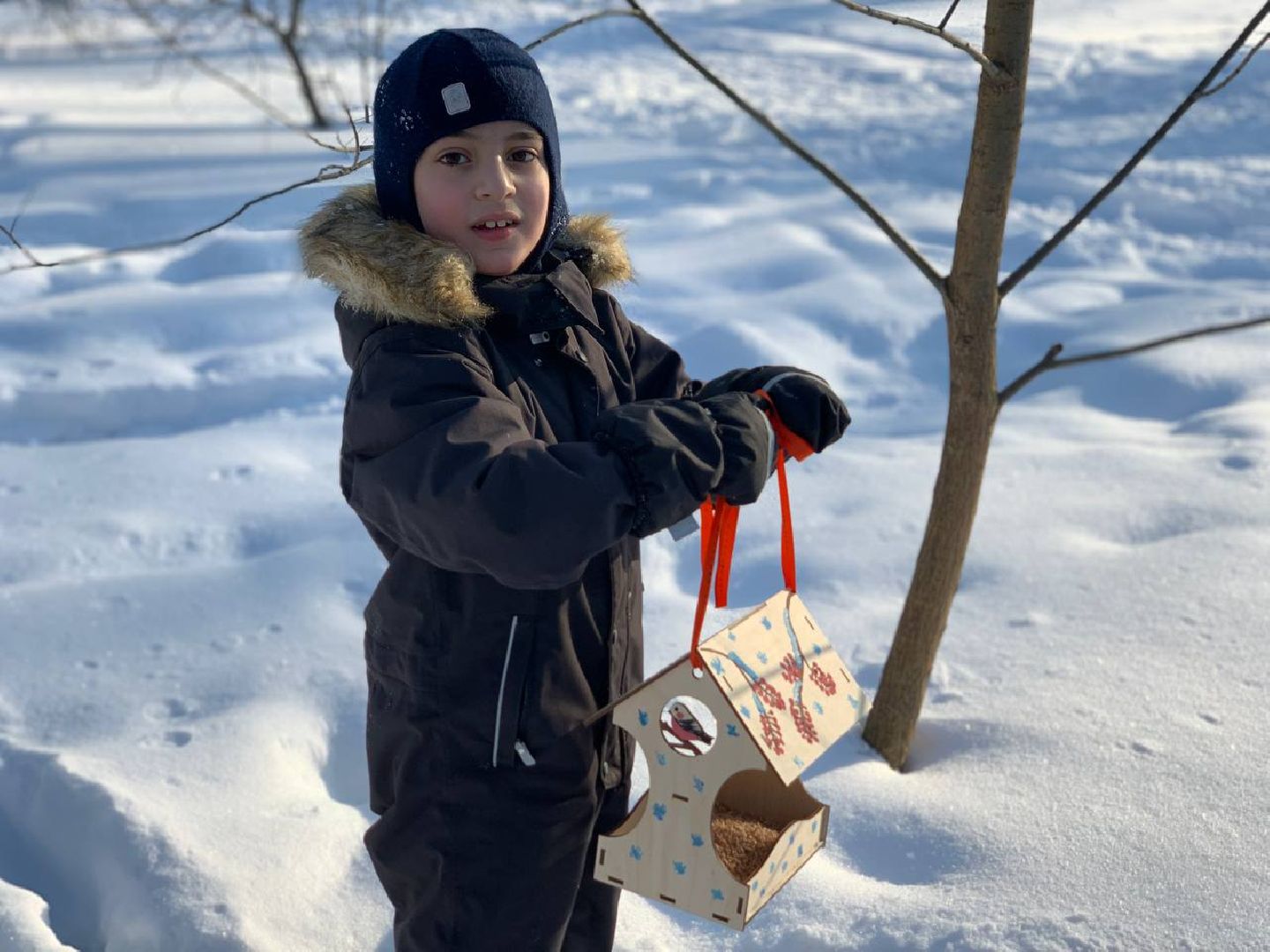 Реутов, парк, птички, кормушки,