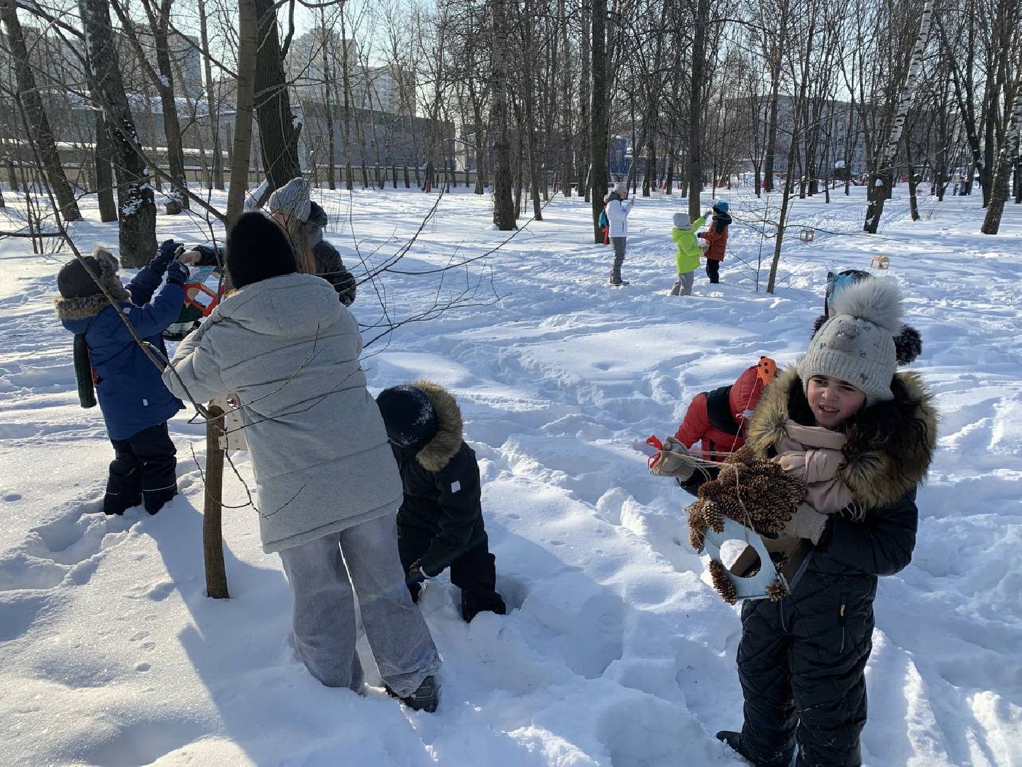 Реутов, парк, птички, кормушки,