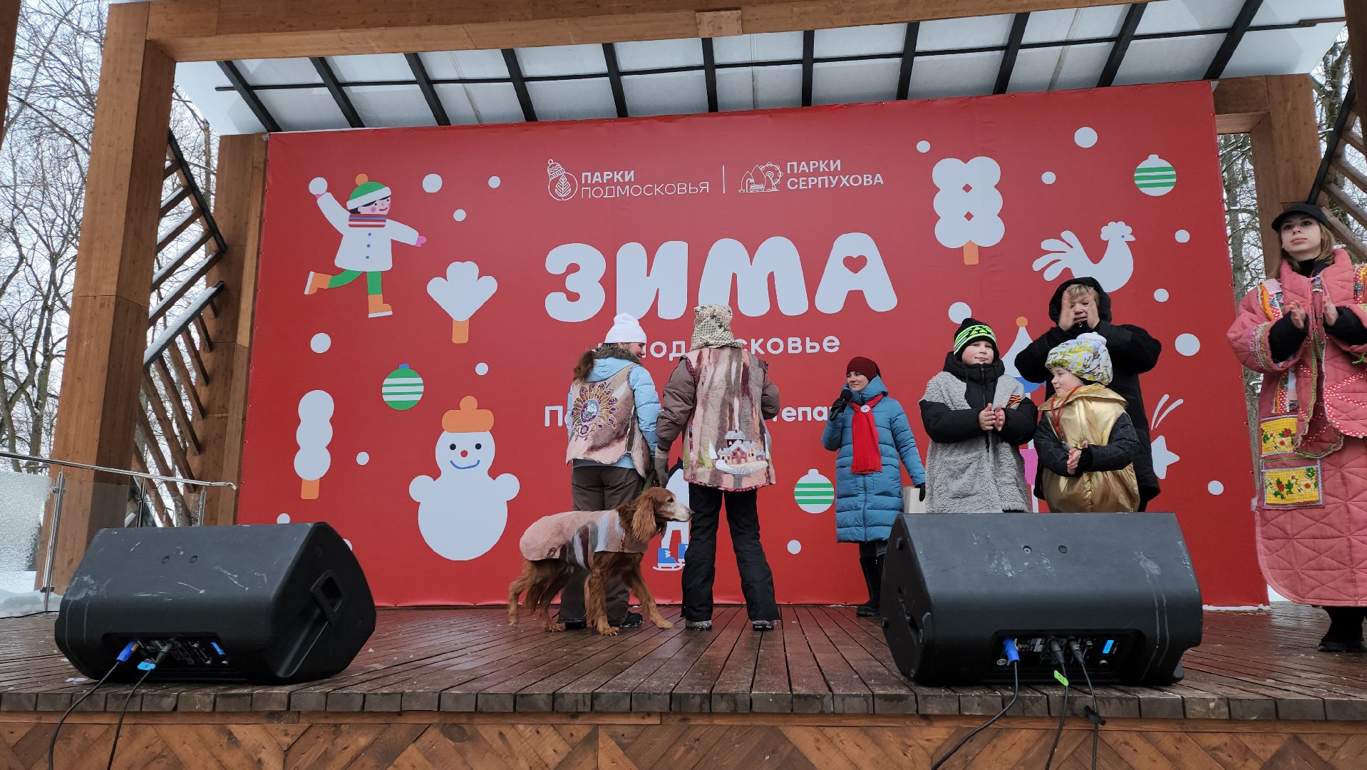 серпухов, подмосковье, теплогрейка, зима в подмосковье, парк имени олега степанова,