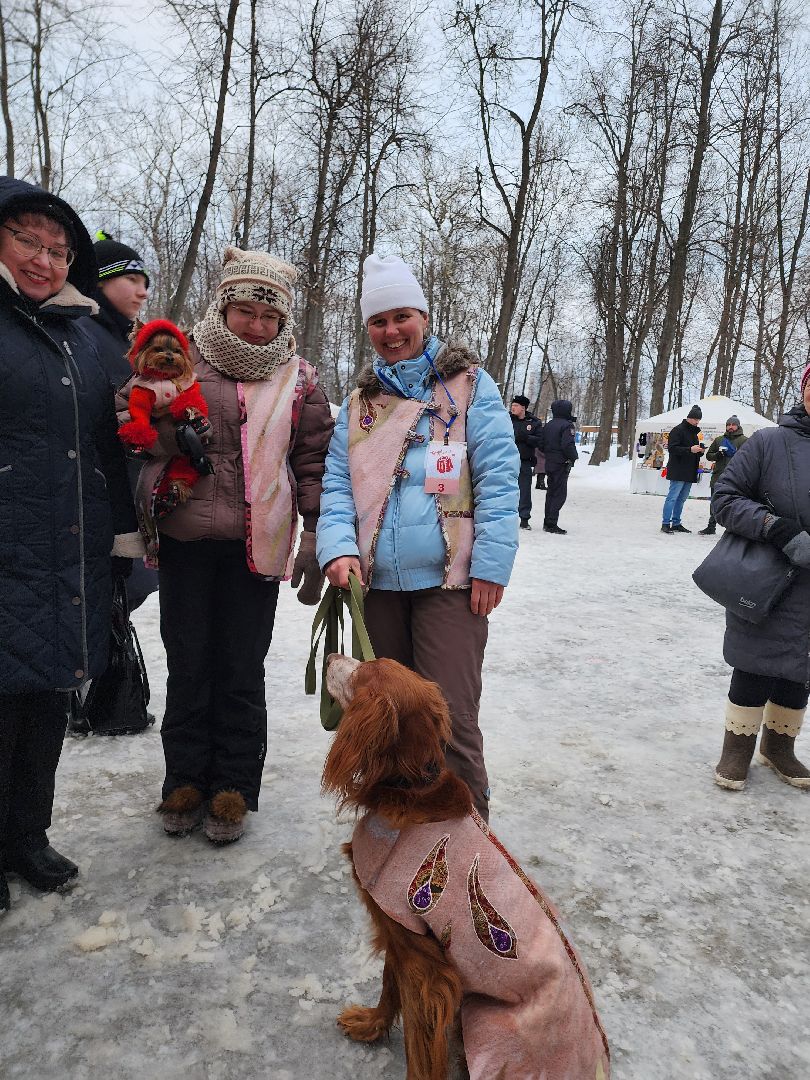 серпухов, подмосковье, теплогрейка, зима в подмосковье, парк имени олега степанова,