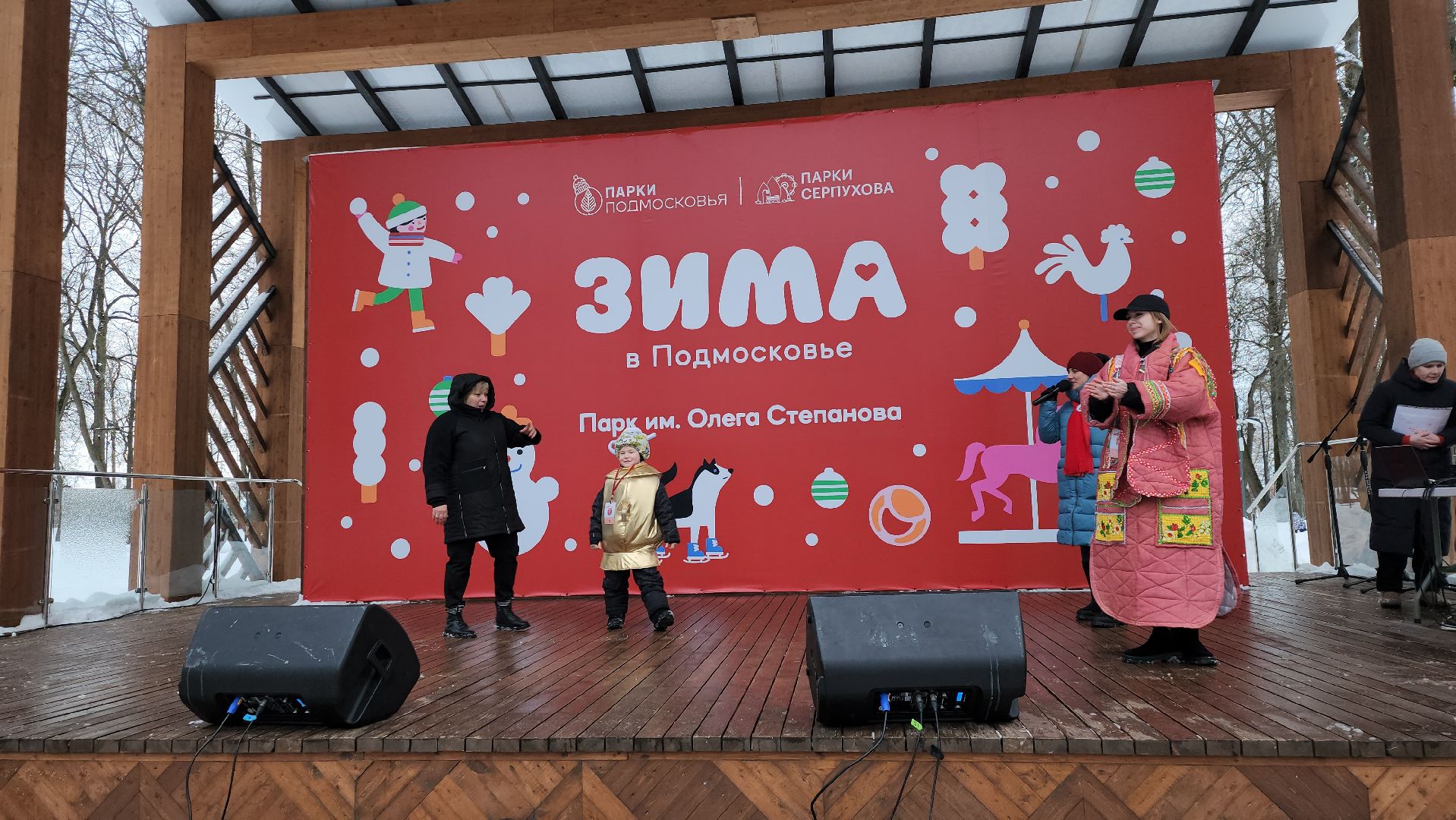 серпухов, подмосковье, теплогрейка, зима в подмосковье, парк имени олега степанова,