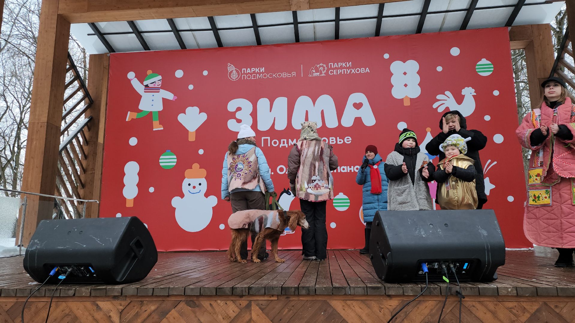 серпухов, подмосковье, теплогрейка, зима в подмосковье, парк имени олега степанова,