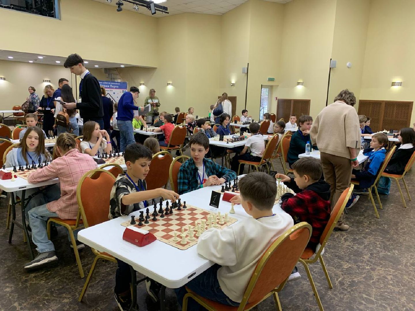 Звенигород, Шахматы,
