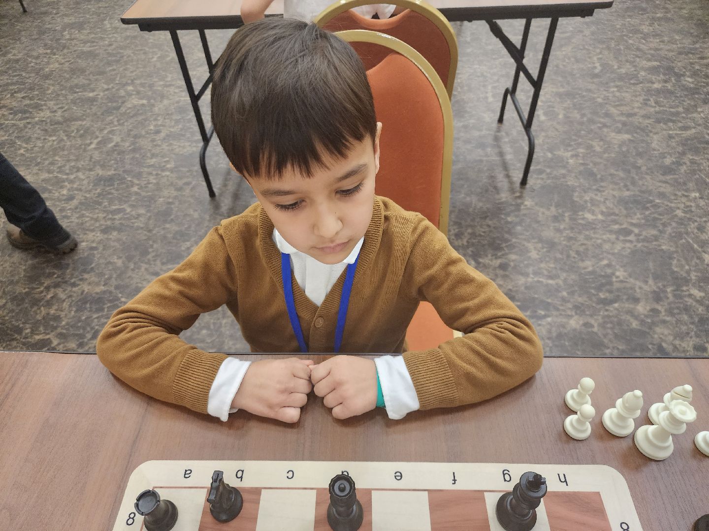 Звенигород, Шахматы,