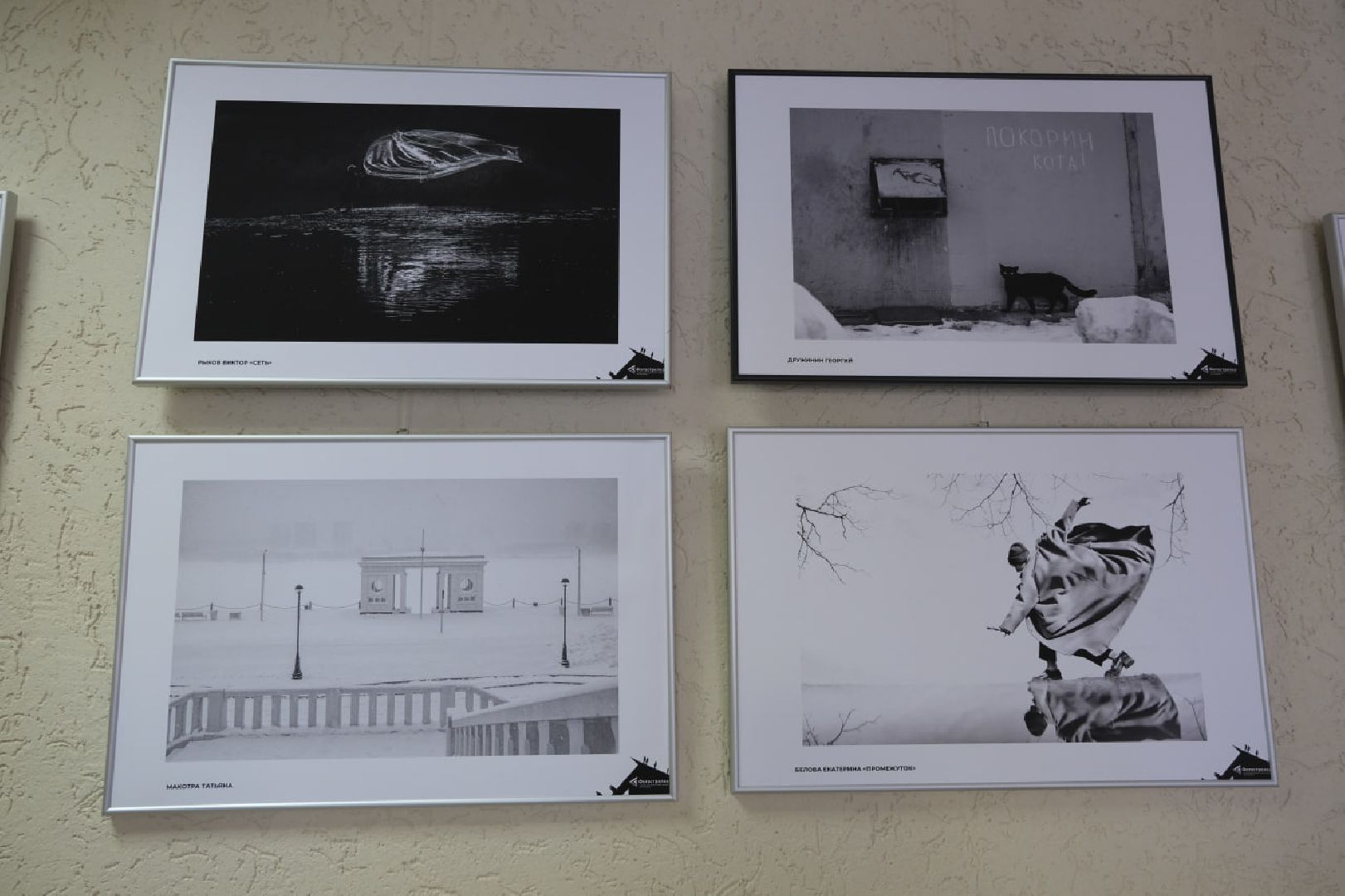 пущино, культура, фото, культура, искусство, фотограф, фотография,