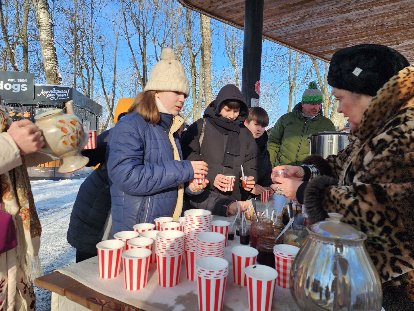 серпухов, подмосковье, активное долголетие, парк имени олега степанова, фестиваль тепло,