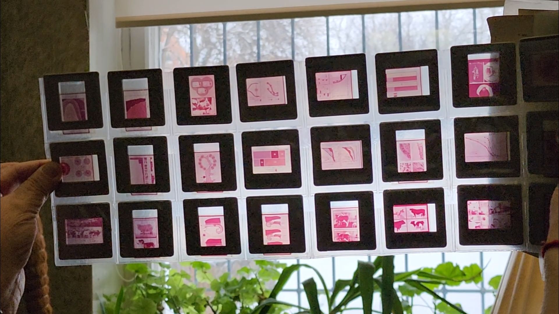 подольск, экономика, наука,