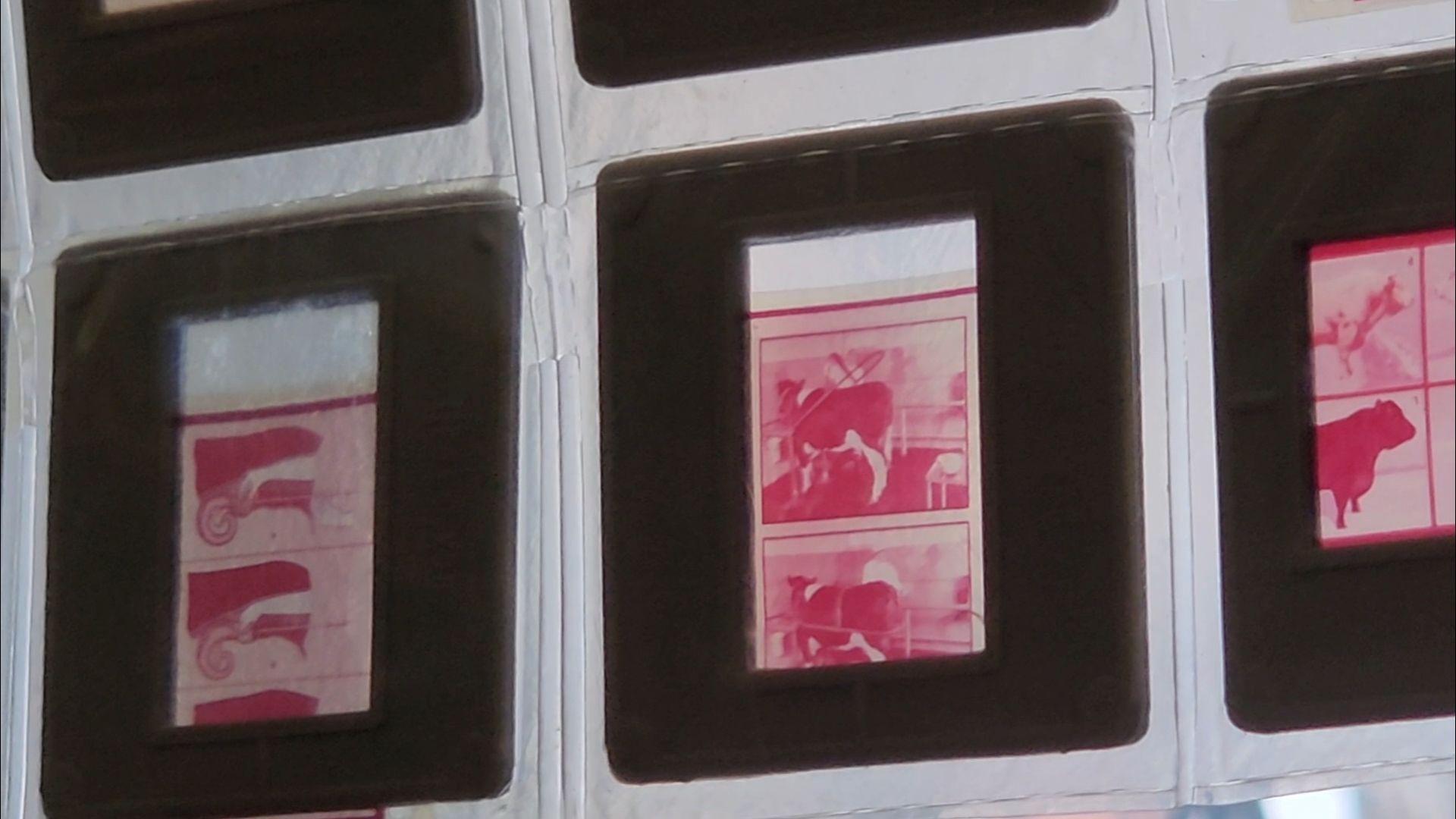 подольск, экономика, наука,