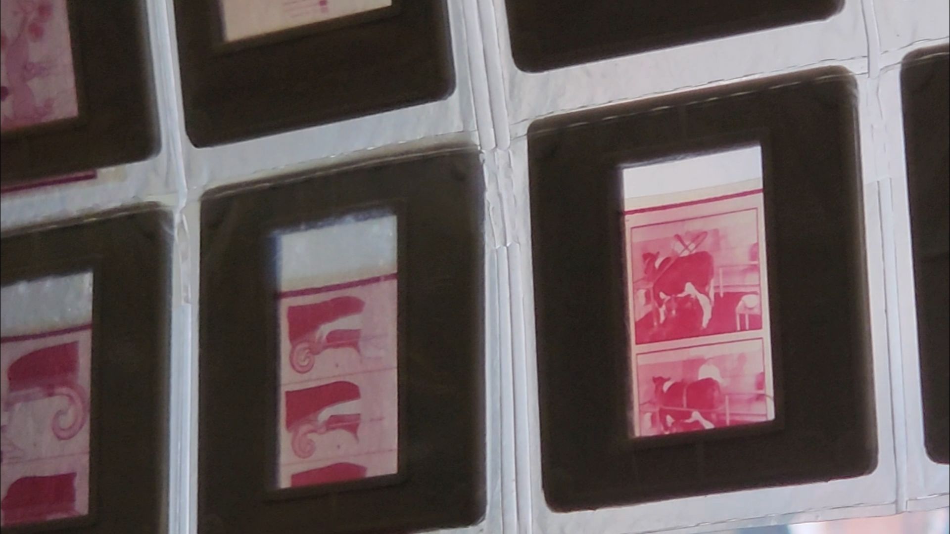 подольск, экономика, наука,