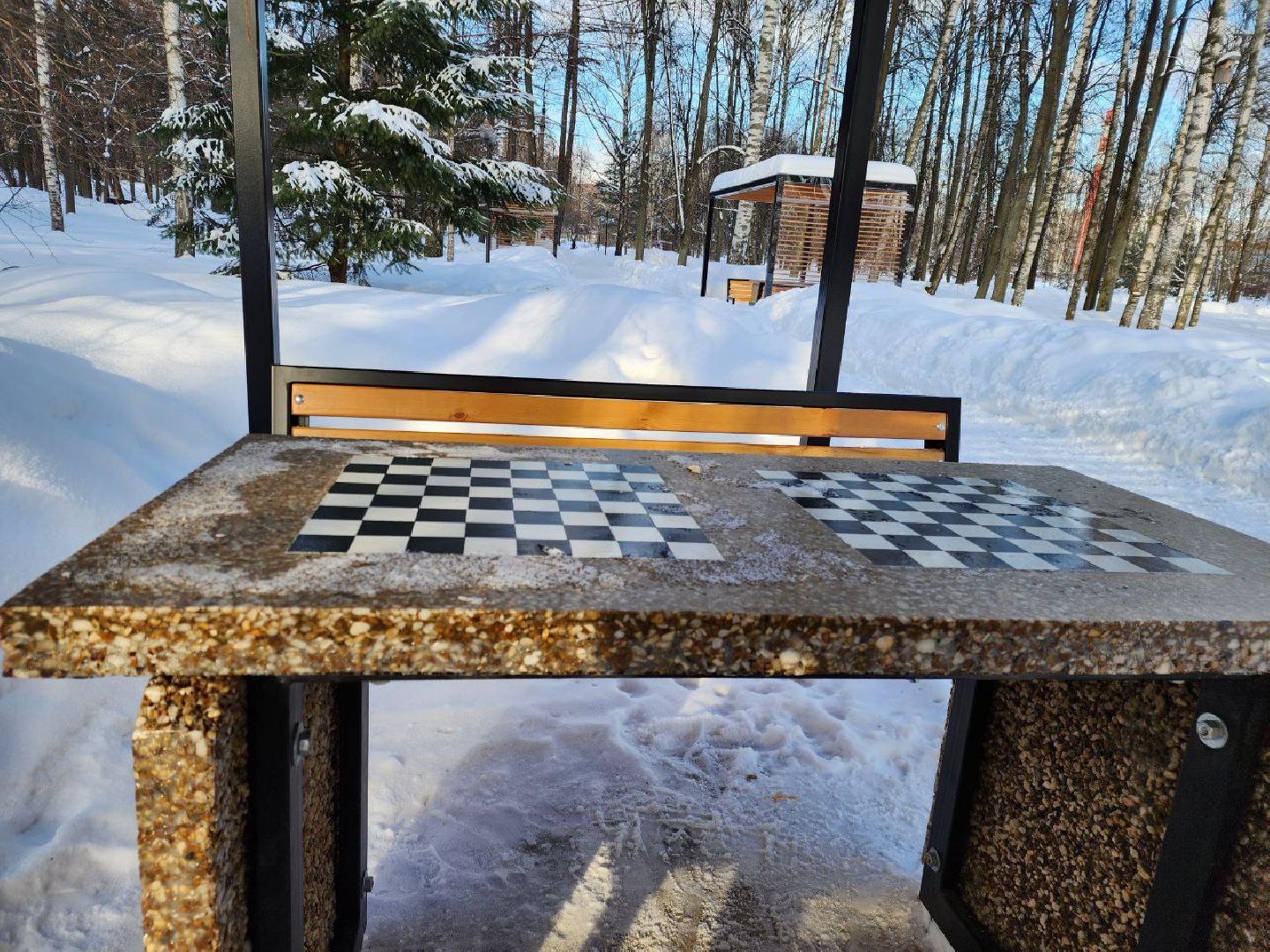 мытищи, шахматы, Шахматные беседки, инициативное бюджетирование,