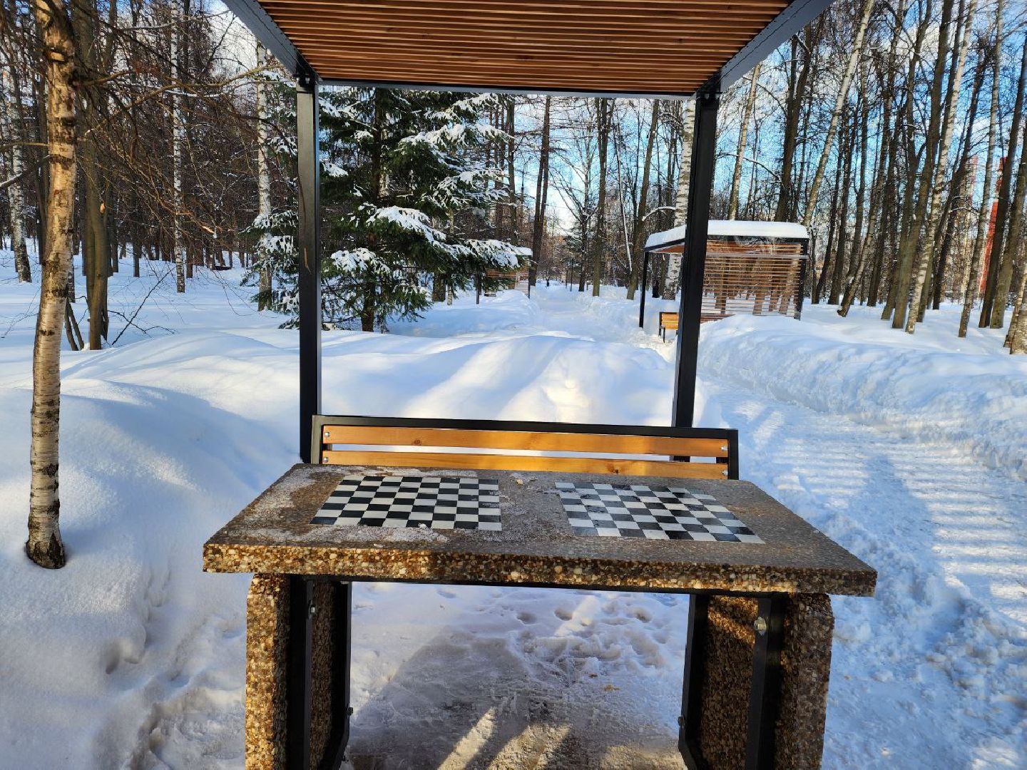 мытищи, шахматы, Шахматные беседки, инициативное бюджетирование,