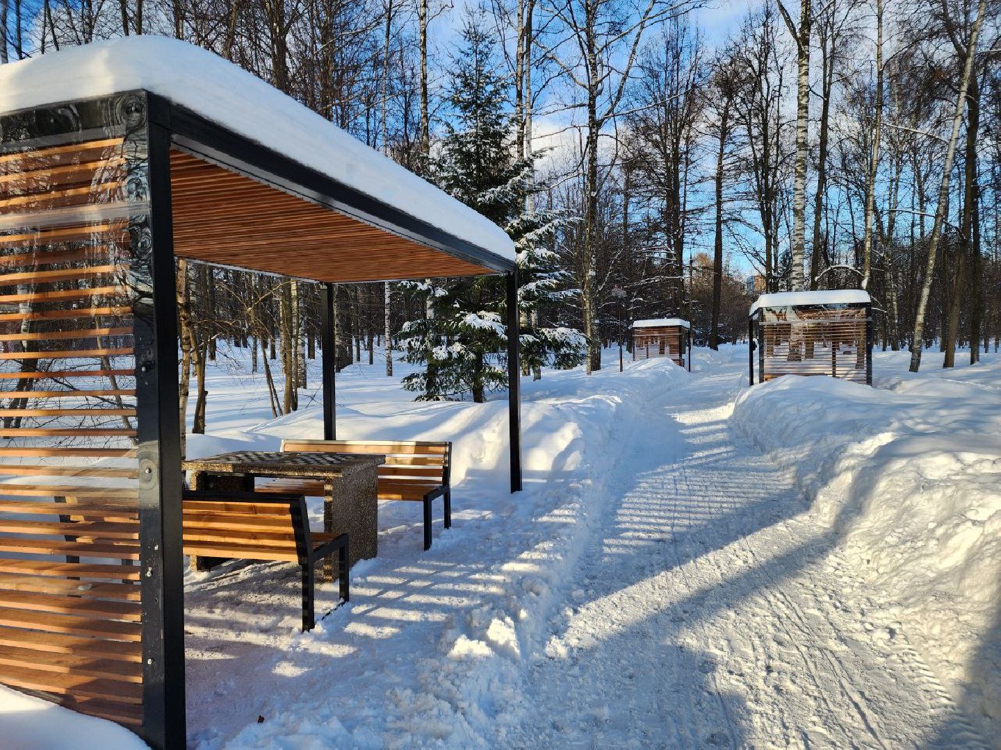 мытищи, шахматы, Шахматные беседки, инициативное бюджетирование,