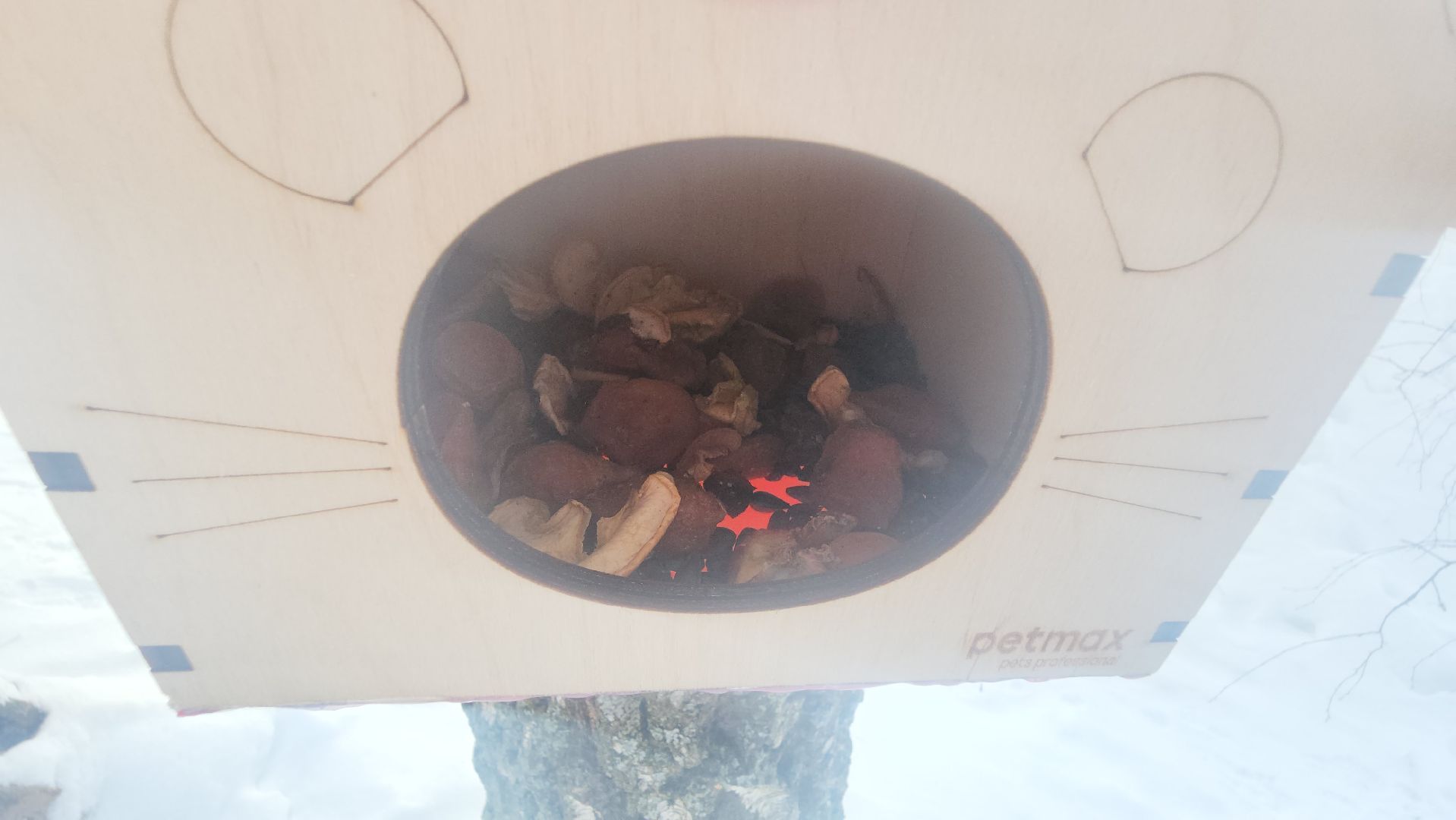 долгопрудный, парки, белки, утки, кормушка,