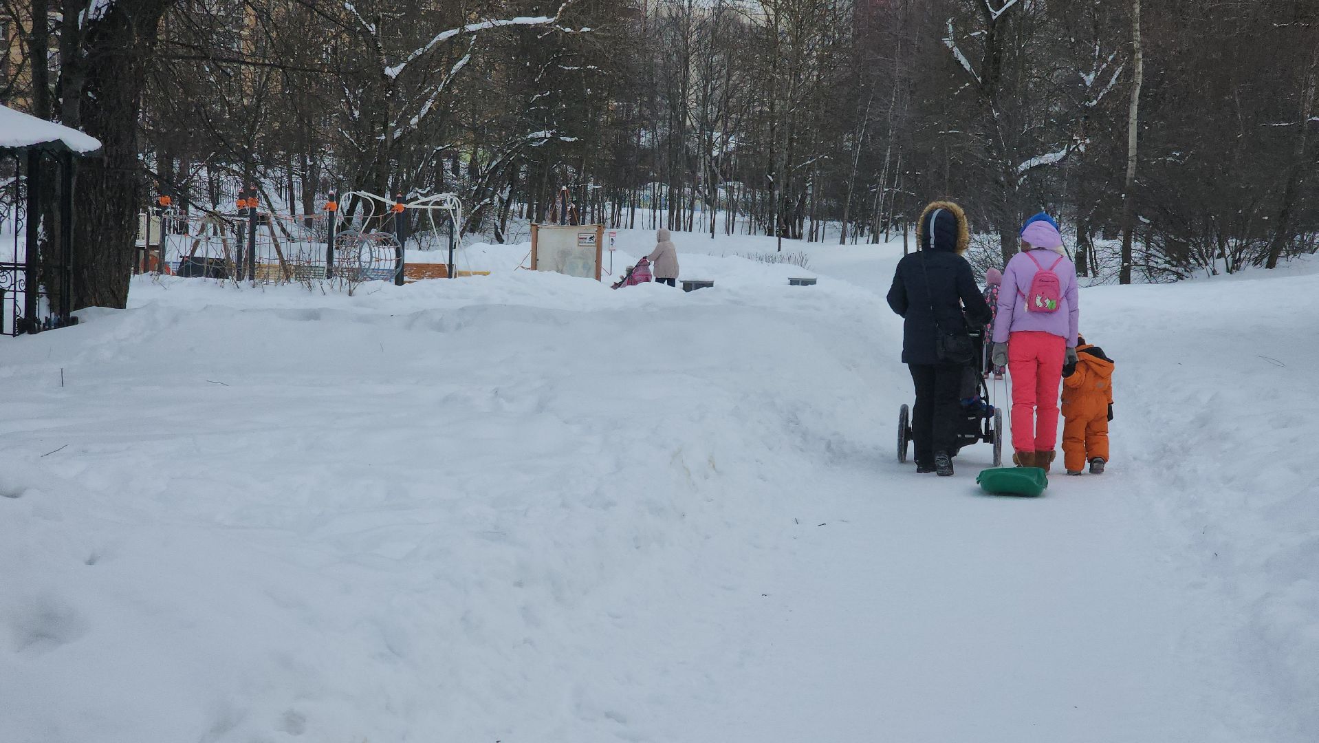 долгопрудный, парки, белки, утки, кормушка,