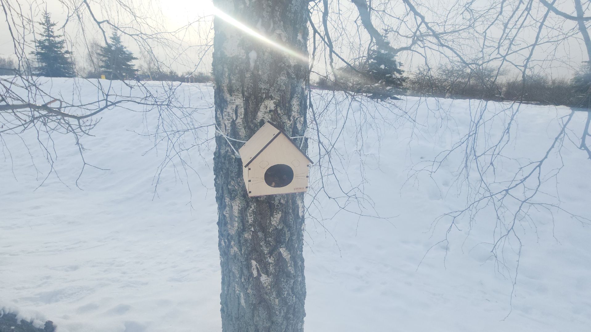 долгопрудный, парки, белки, утки, кормушка,