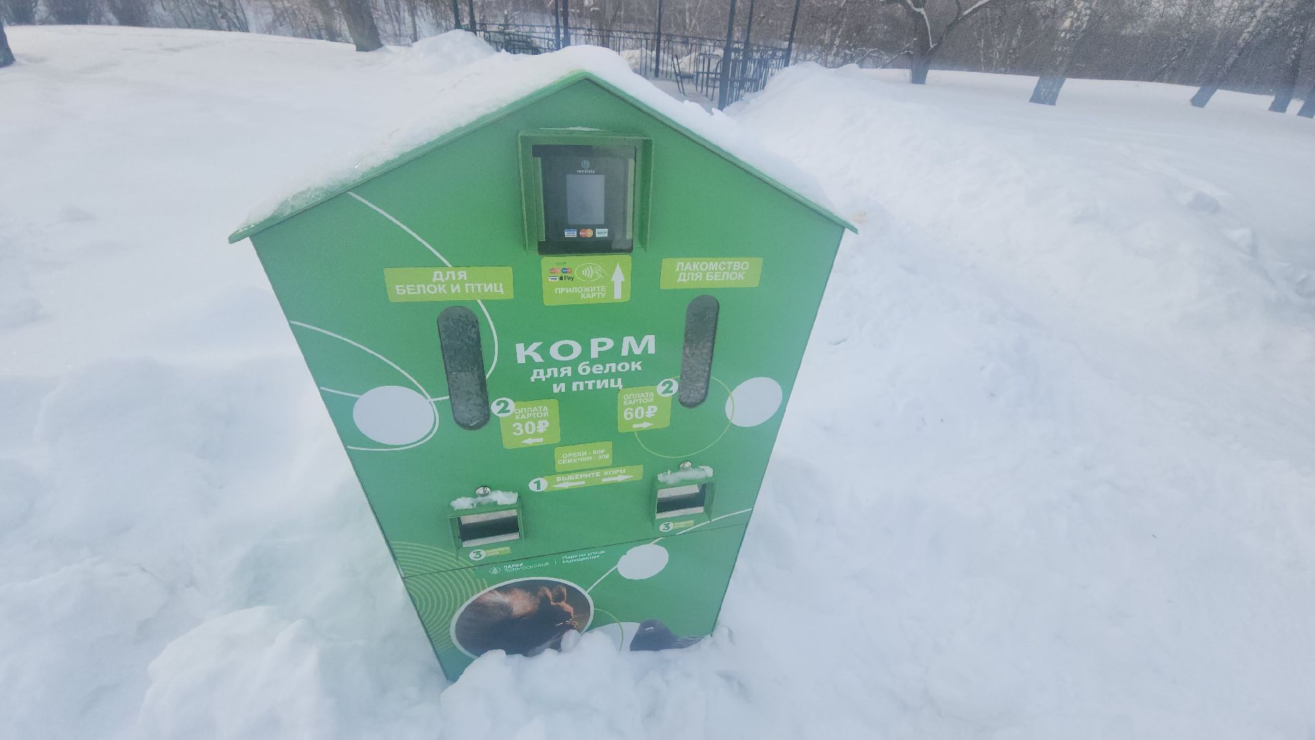 долгопрудный, парки, белки, утки, кормушка,