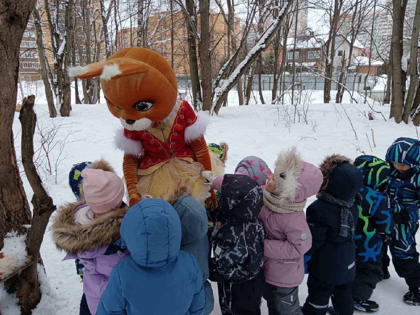 долгопрудный, парки, белки, утки, кормушка,