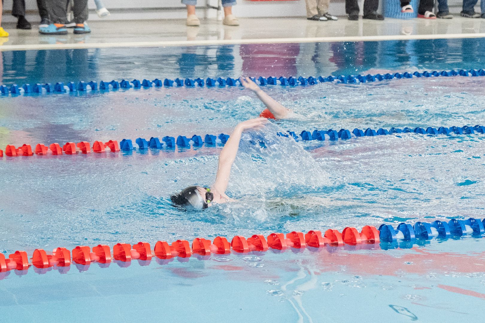 лыткарино, спорт, плавание,