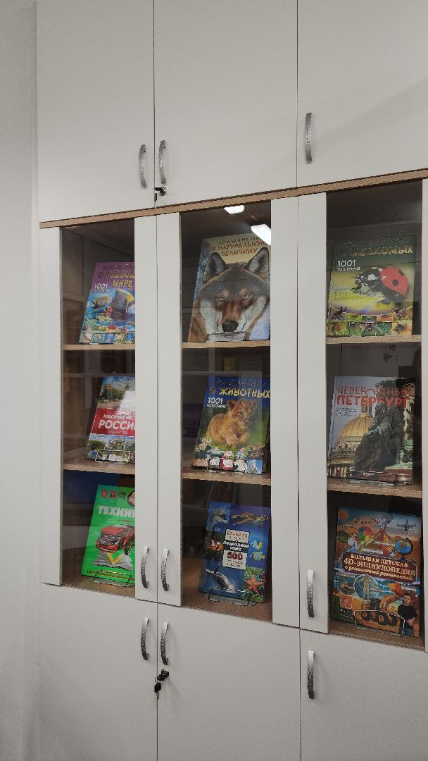 электросталь, мой город, жители города, дети, культура, образование, библиотека, библиотека семейного чтения, библиотекарь, книги,