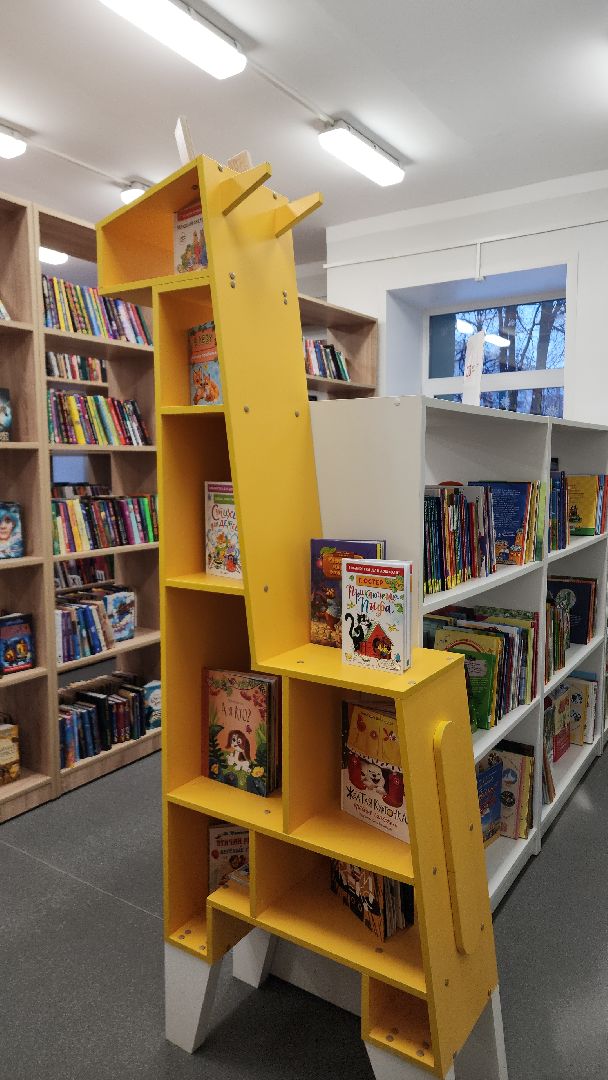 электросталь, мой город, жители города, дети, культура, образование, библиотека, библиотека семейного чтения, библиотекарь, книги,