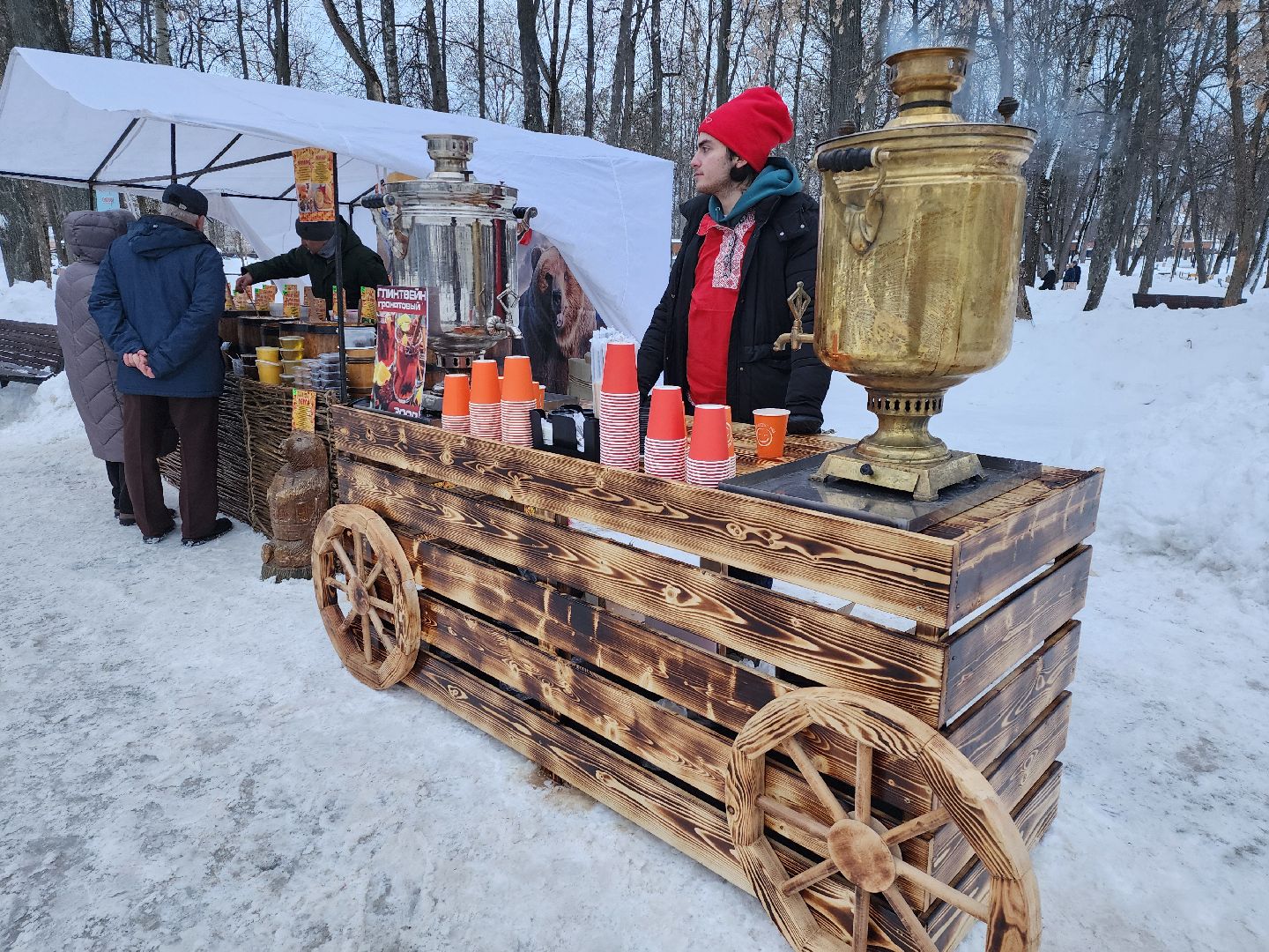 серпухов, подмосковье, парк имени олега степанова, зима в подмосковье,