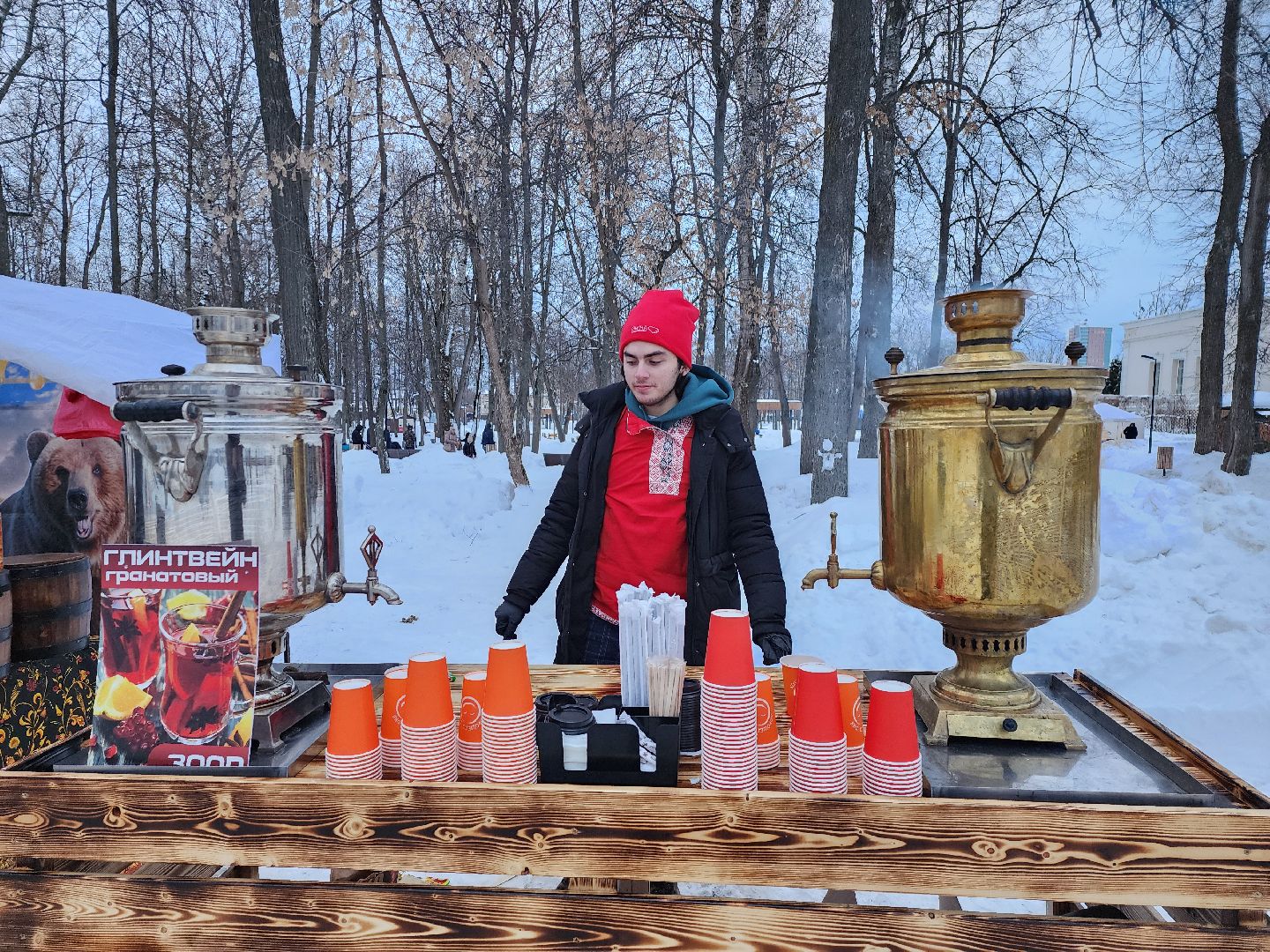 серпухов, подмосковье, парк имени олега степанова, зима в подмосковье,