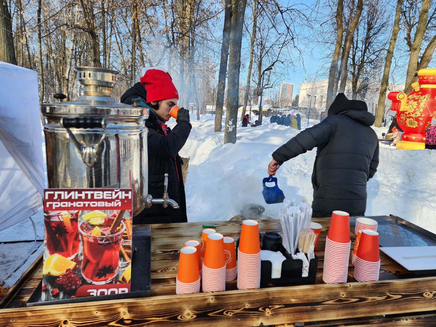 серпухов, подмосковье, парк имени олега степанова, зима в подмосковье,