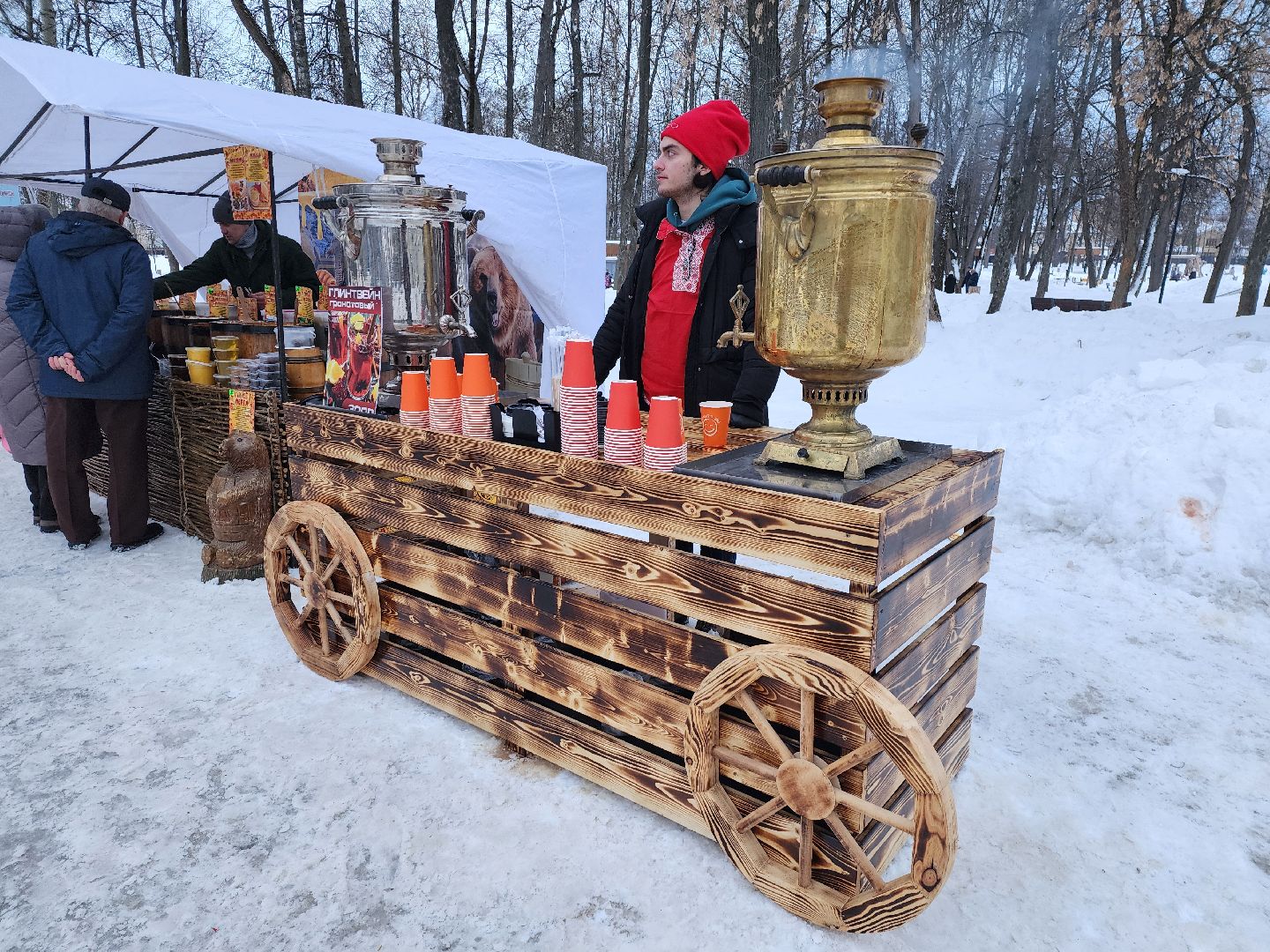 серпухов, подмосковье, парк имени олега степанова, зима в подмосковье,