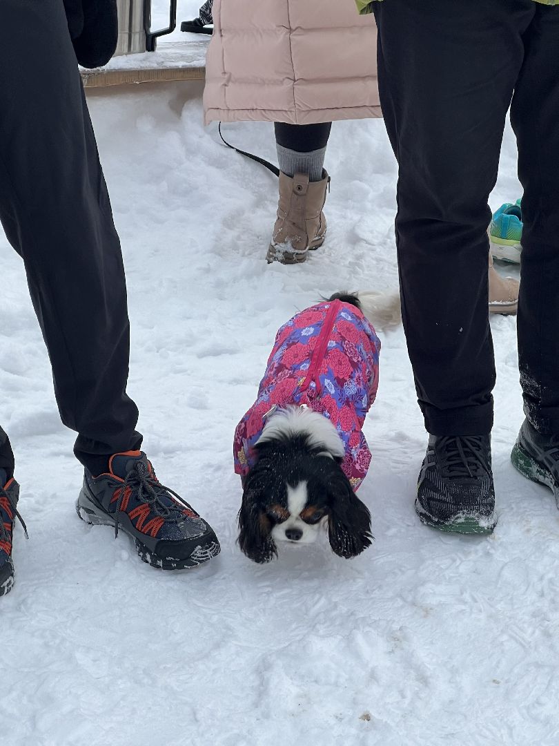 пробежка, забег, забег по лесу, спорт, зимний спорт, досуг, Жуковский,