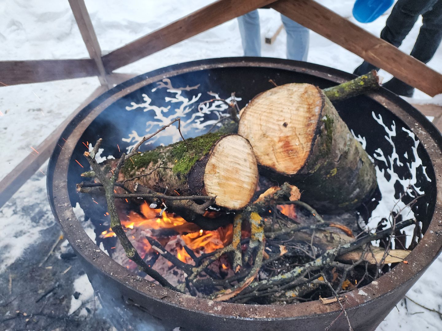 серпухов, подмосковье, очаги в парке, парк имени олега степанова, зима в подмосковье,