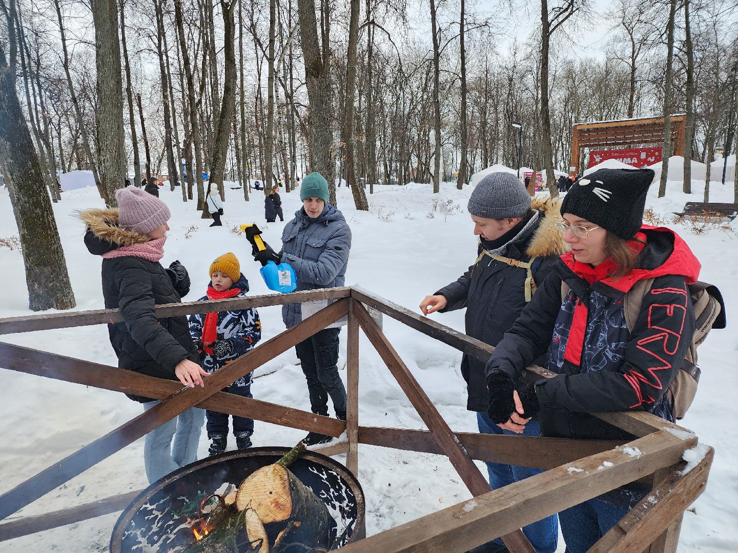 серпухов, подмосковье, очаги в парке, парк имени олега степанова, зима в подмосковье,