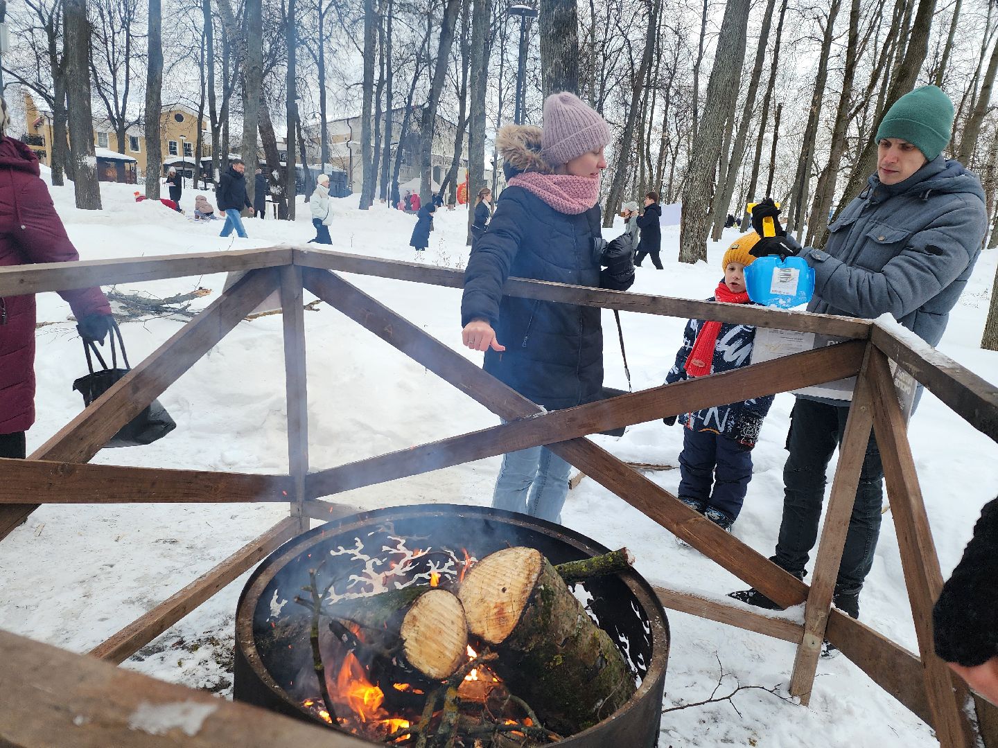 серпухов, подмосковье, очаги в парке, парк имени олега степанова, зима в подмосковье,